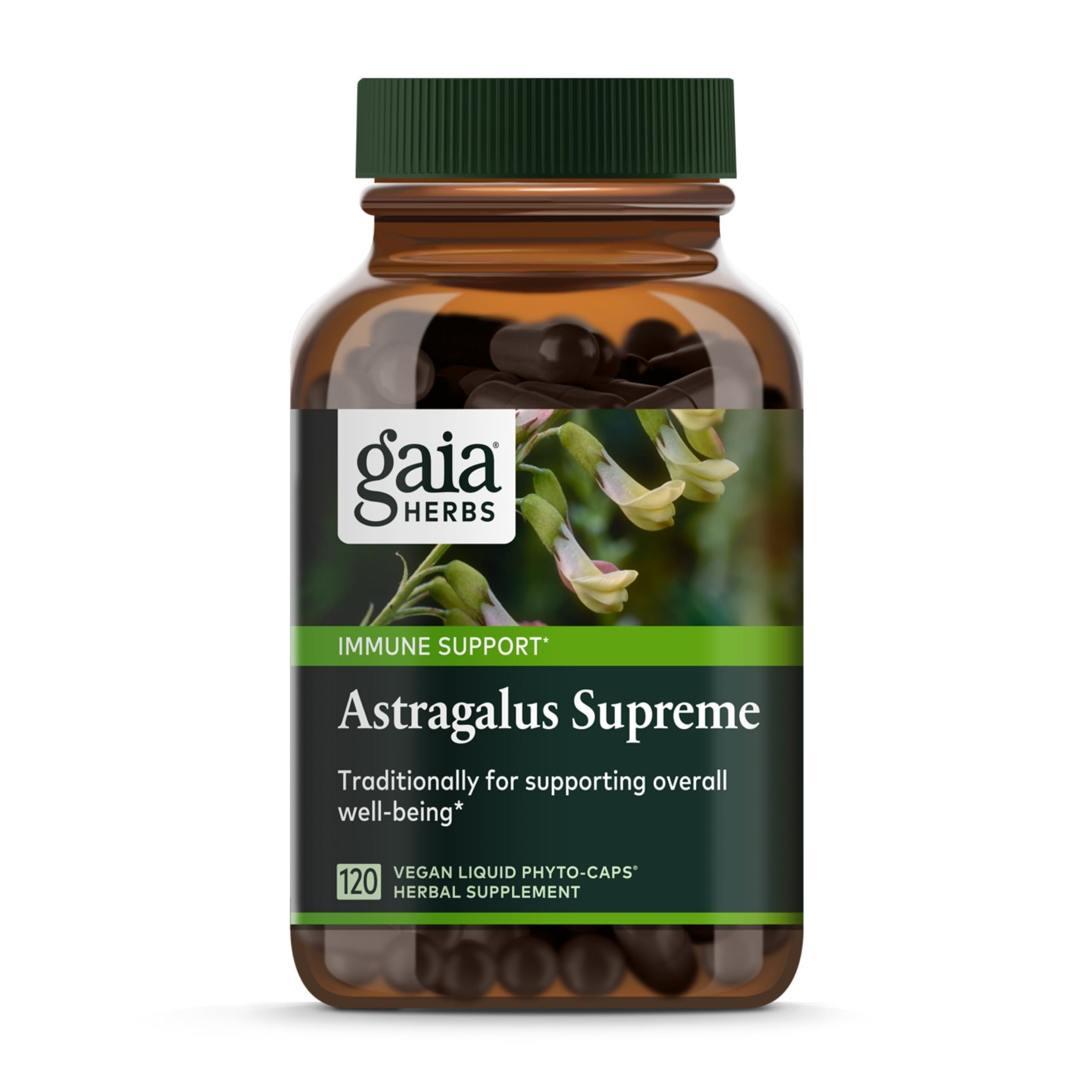 Gaia Herbs Astragalus Supreme – Immune & Antioxidant Support | 120 Vegan Liquid Phyto-Caps (60 Servings)