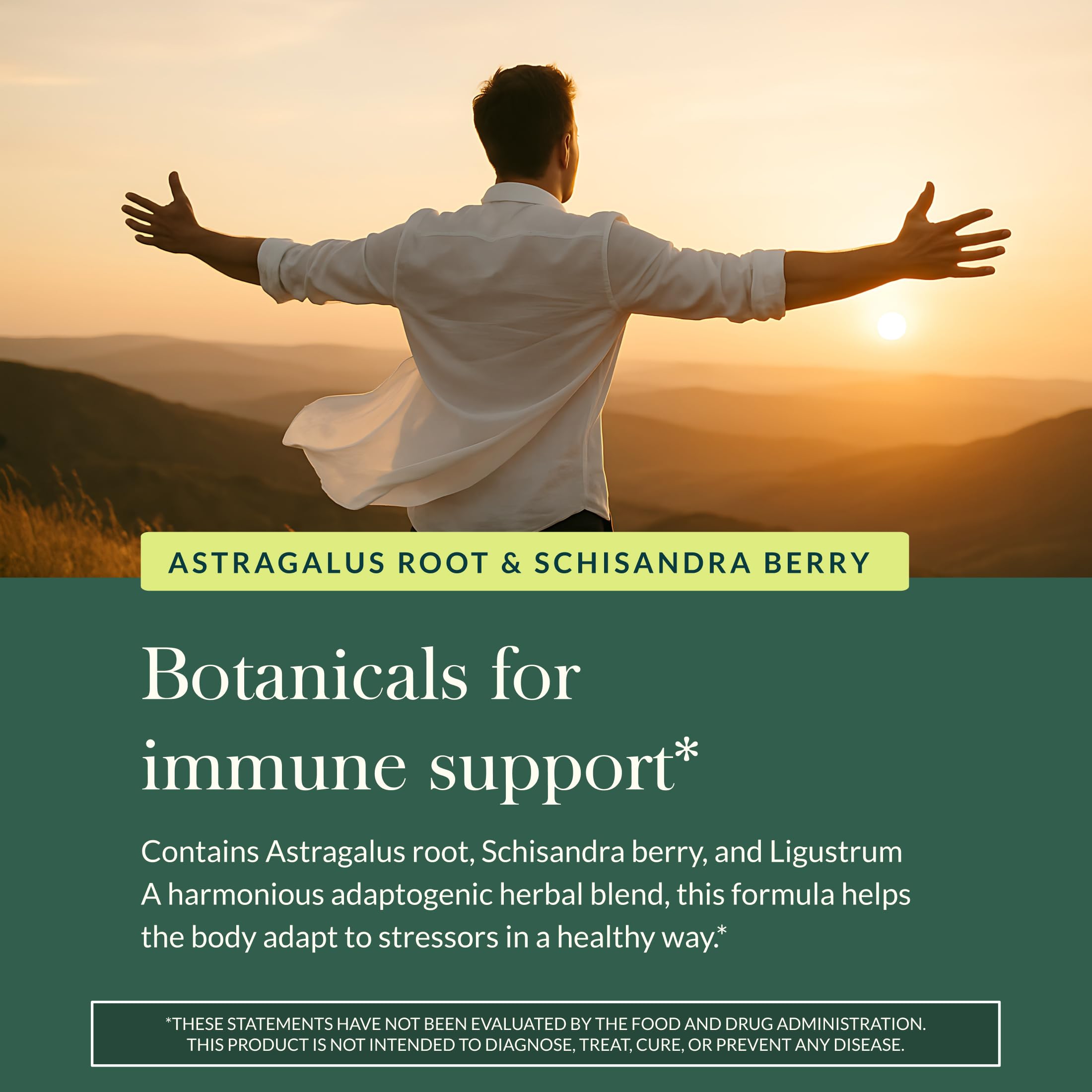Gaia Herbs Astragalus Supreme – Immune & Antioxidant Support | 120 Vegan Liquid Phyto-Caps (60 Servings)