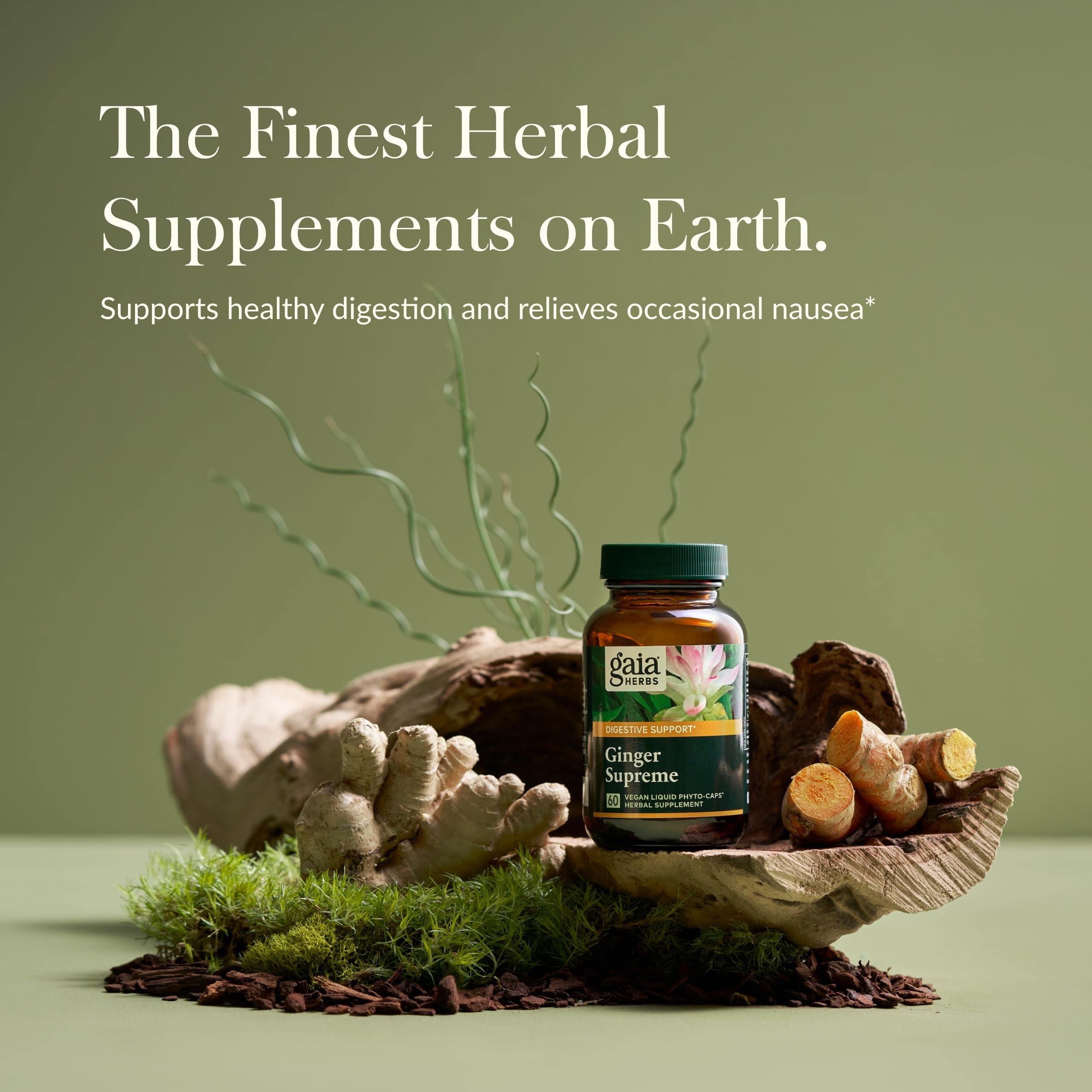 Gaia Herbs Ginger Supreme – Digestive Support & Occasional Nausea | 60 Vegan Liquid Phyto-Capsules
