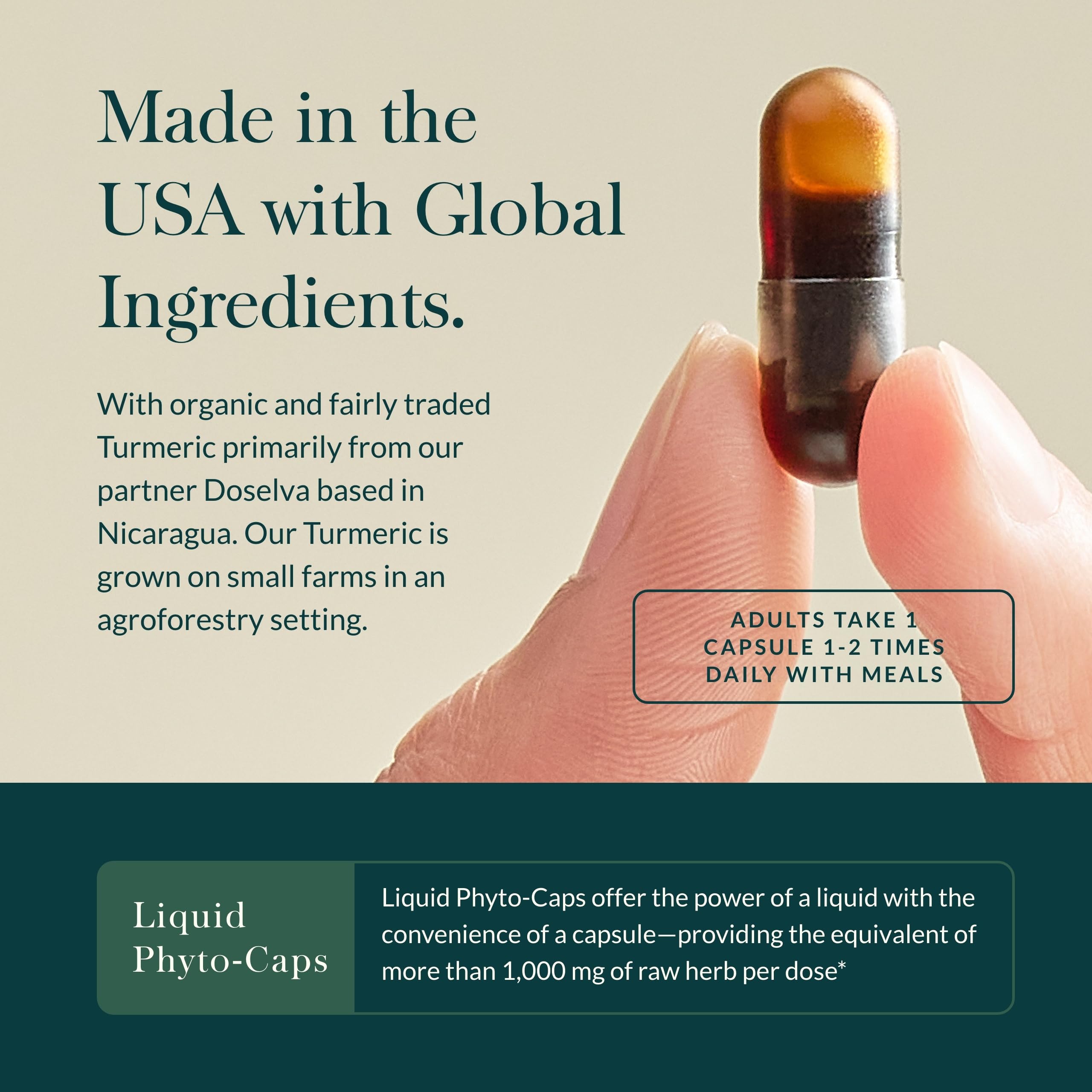 Gaia Herbs Turmeric Supreme Extra Strength - Supports Occasional Discomfort & Mobility - 120 Vegan Liquid Phyto-Caps