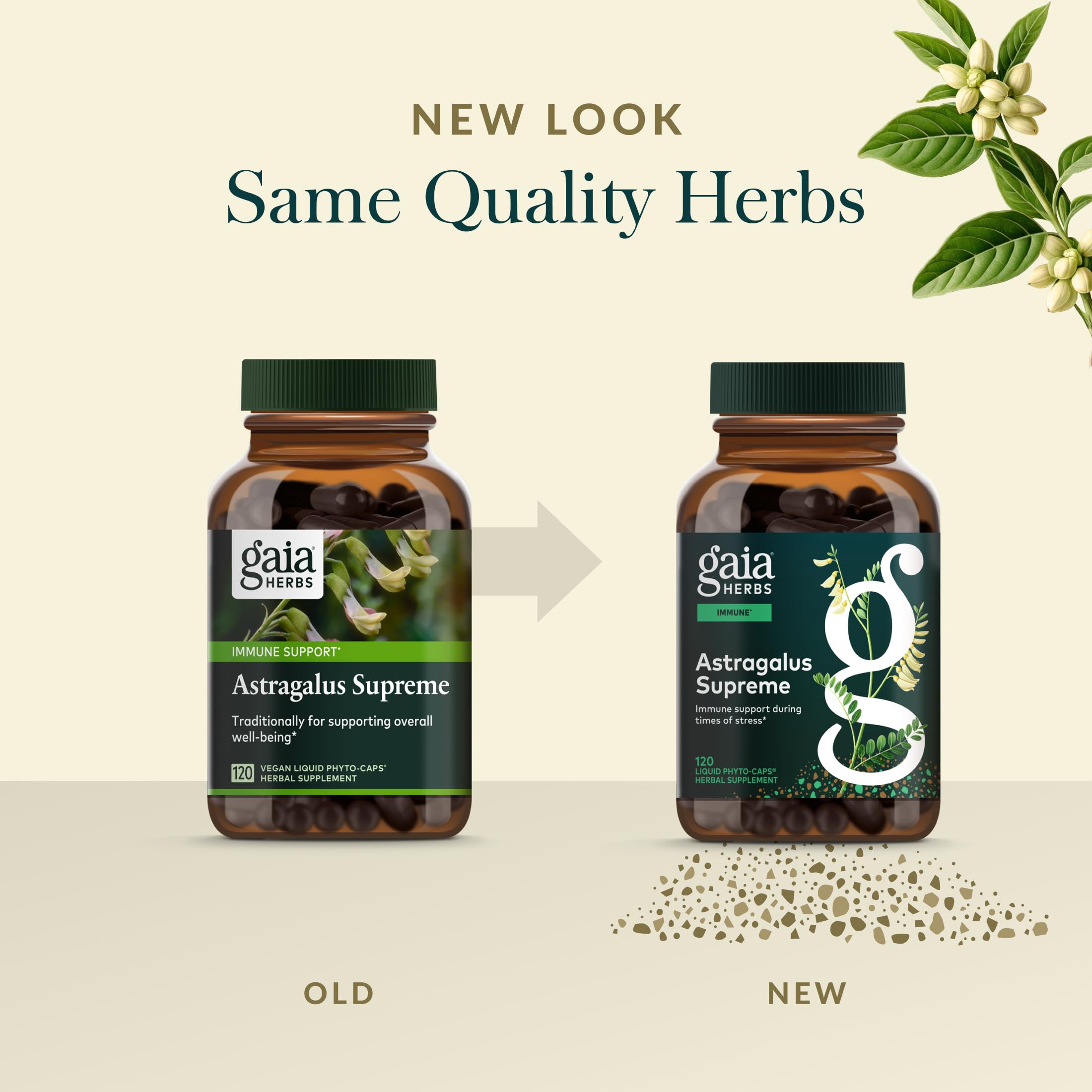 Gaia Herbs Astragalus Supreme – Immune & Antioxidant Support | 120 Vegan Liquid Phyto-Caps (60 Servings)