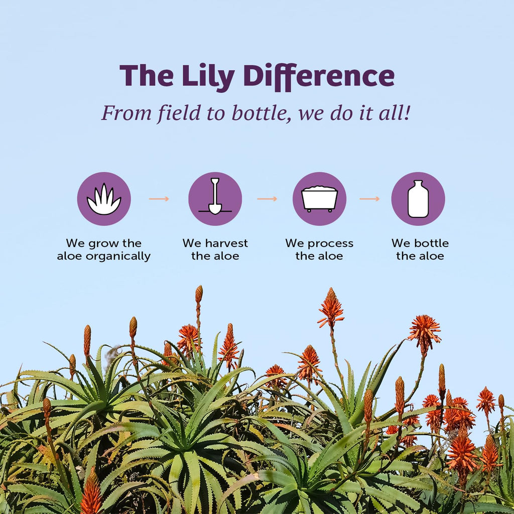 Lily of the Desert Aloe Vera Juice – Whole Leaf, Non-GMO Drink | Gut Health & Skin | 32 oz