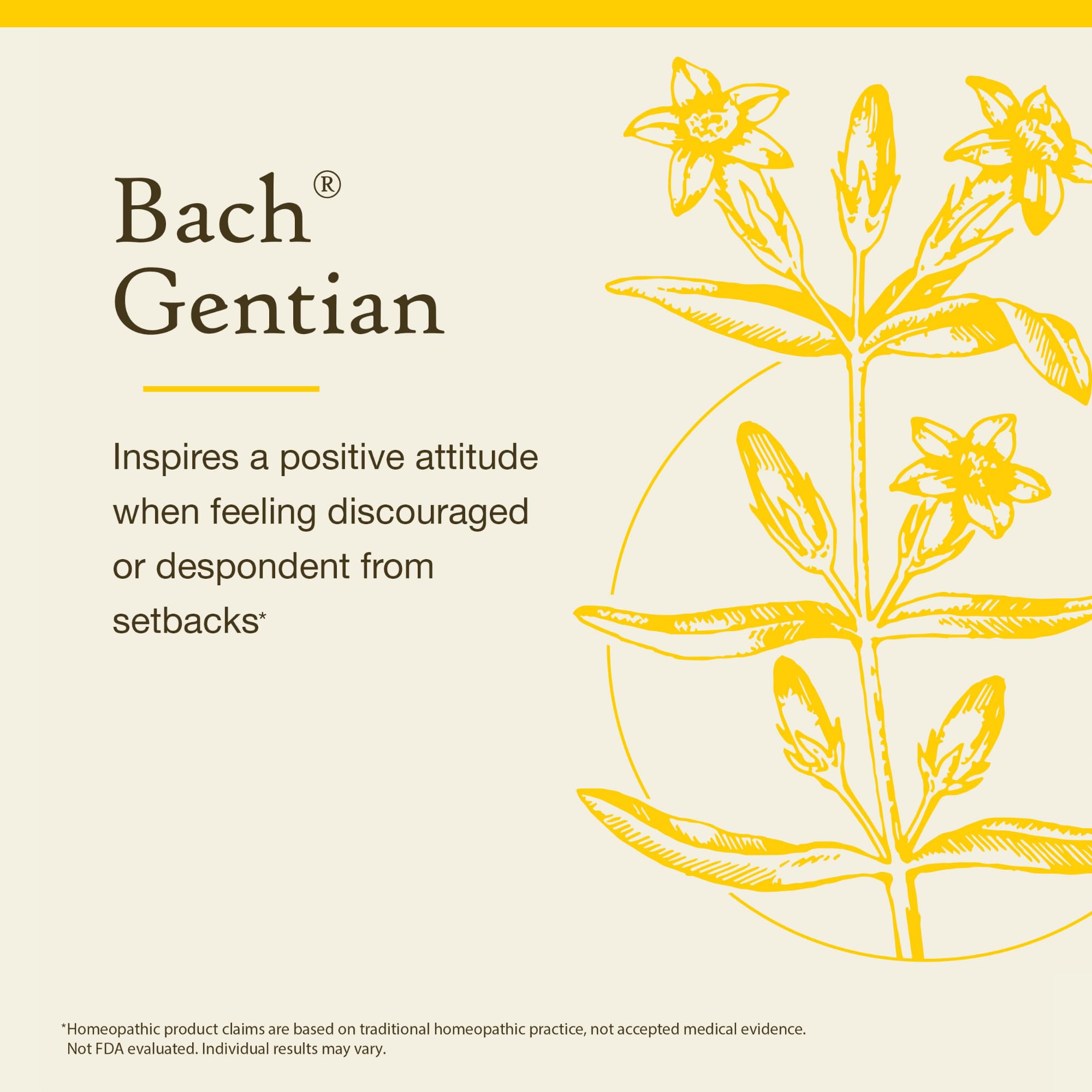 Bach Gentian (Non-Alcohol Formula) - Accept Setbacks | Emotional Balance | Vegan, Gluten Free, Sugar Free - 10mL Dropper