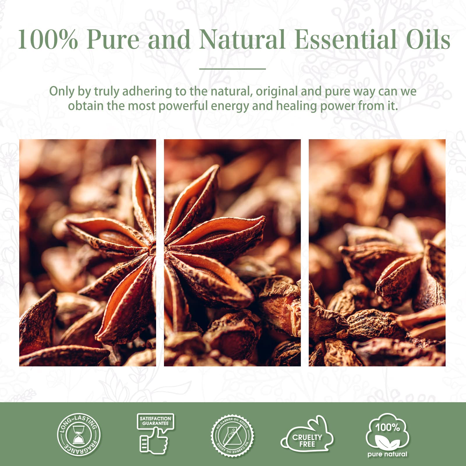 Anise Star Essential Oil 100ml | PHATOIL Aromatherapy for Diffuser & DIY