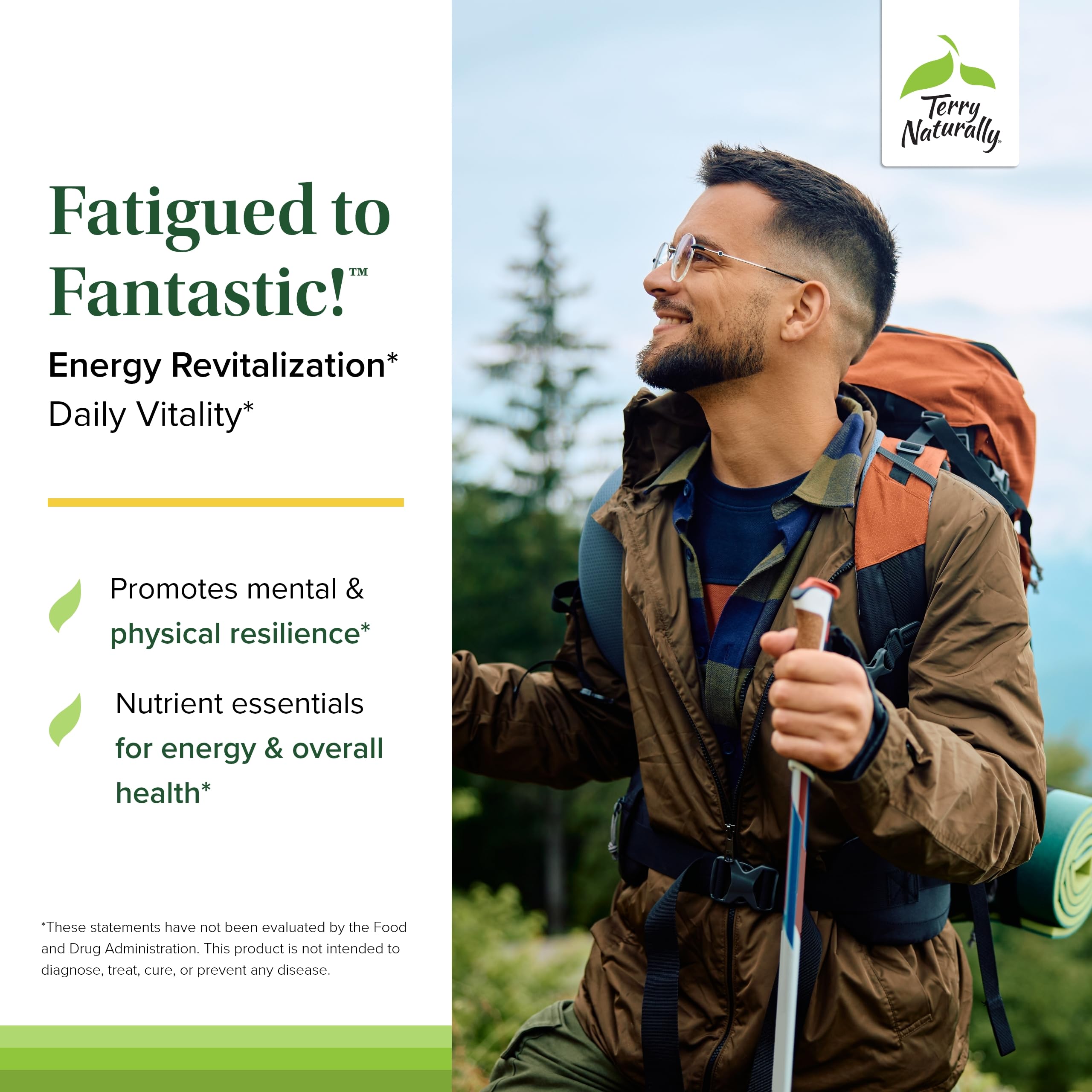 Fatigued to Fantastic Energy Revitalization Drink Mix – Terry Naturally