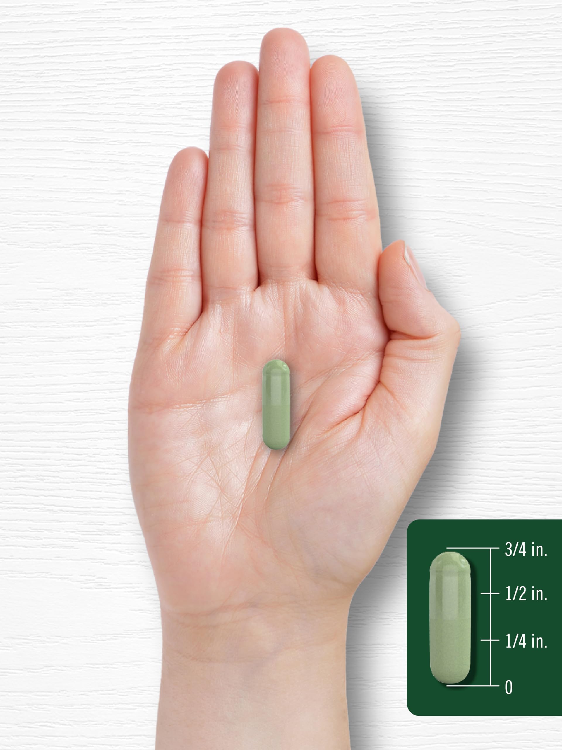 Carlyle Moringa Oleifera 180 Capsules | Non-GMO Gluten Free Green Superfood