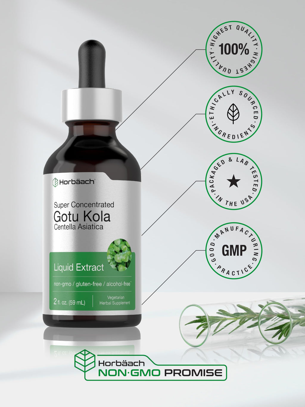 Gotu Kola Extract 2 fl oz Alcohol-Free Liquid Supplement | Horbaach