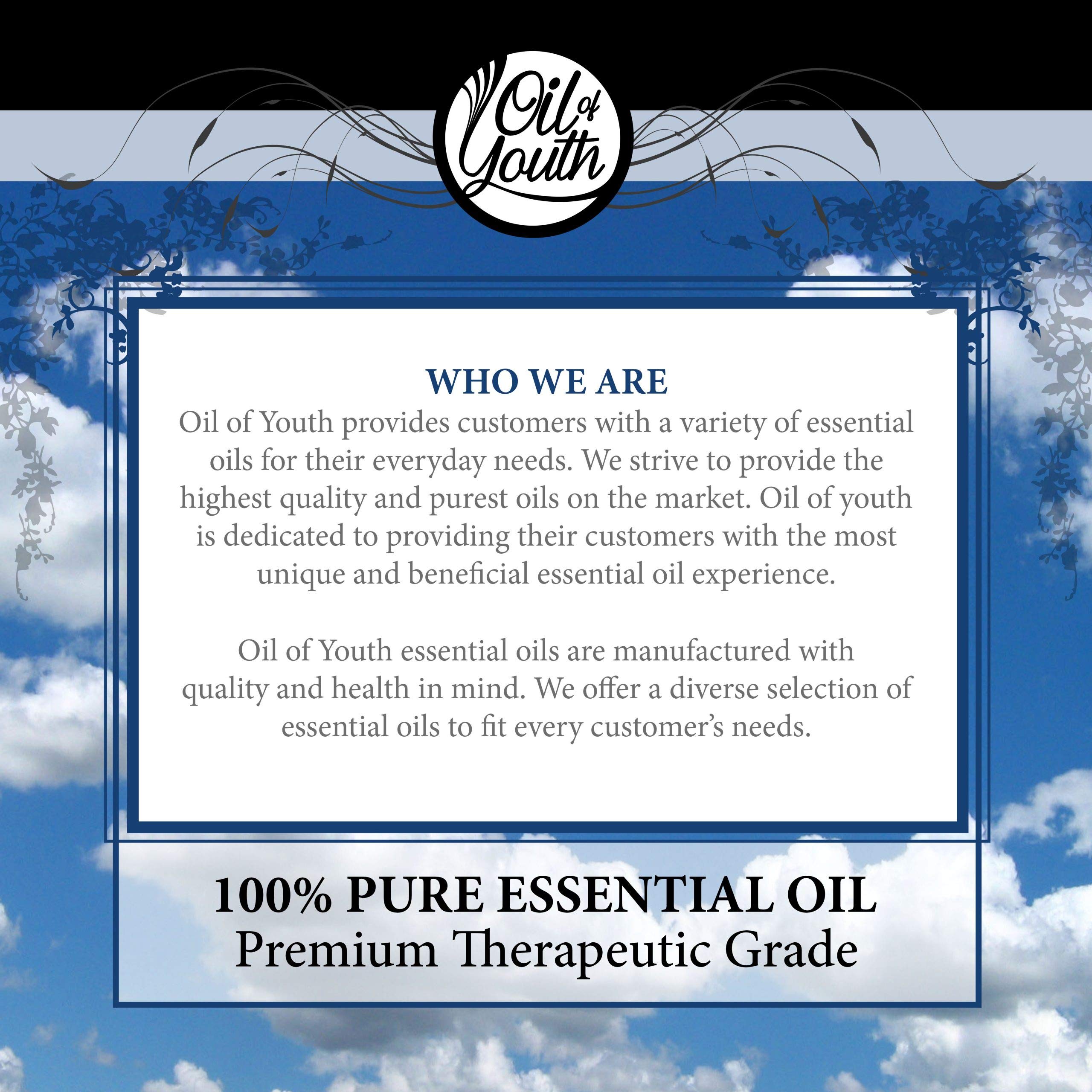 Oil of Youth Grapefruit Essential Oil 16oz – Pure Therapeutic Grade