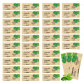 HAIFOTRVA 50 Pack Too Small Bulk Travel Size Toothpaste – 0.105 oz Mint Mini for Hotels & Guests