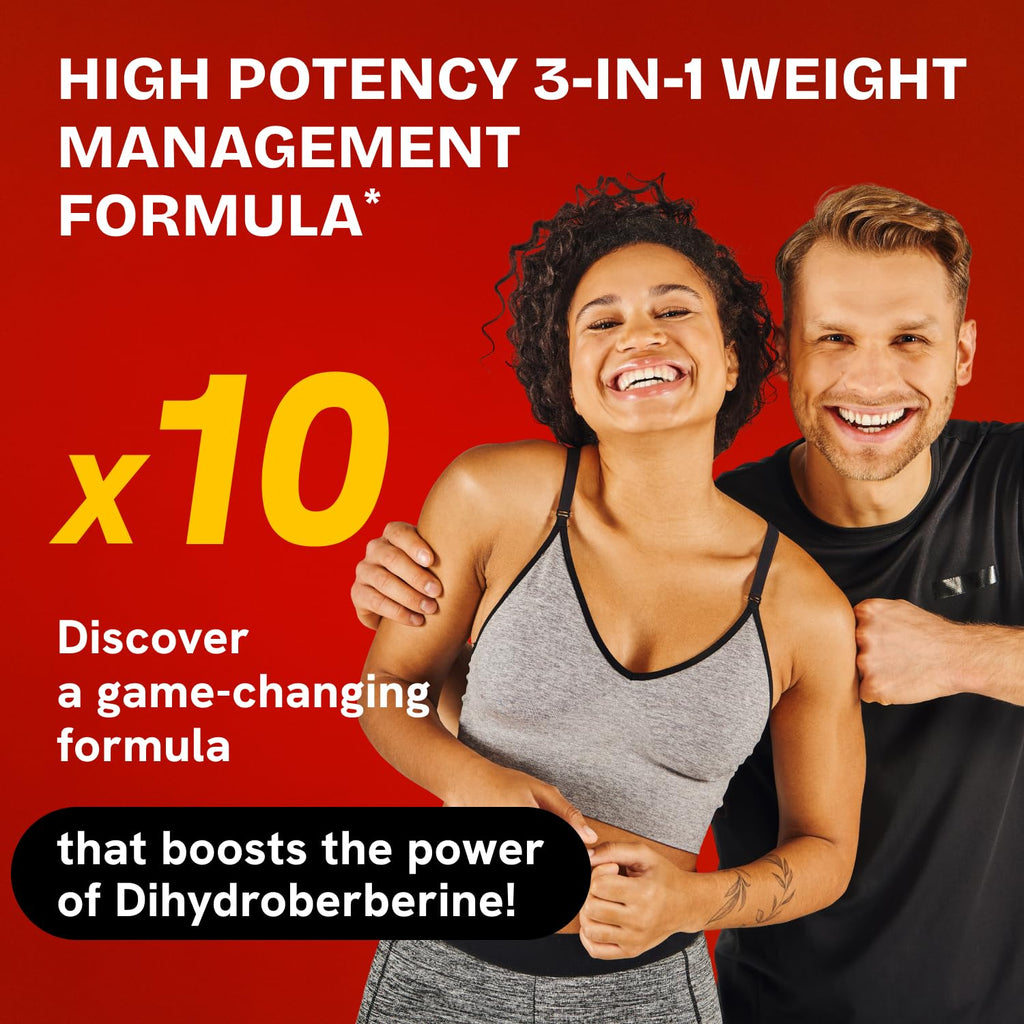HealMeal Dihydroberberine Supplement - Enhanced Absorption with Cinnamon & R Alpha Lipoic Acid - 480 Caps (4 Packs)