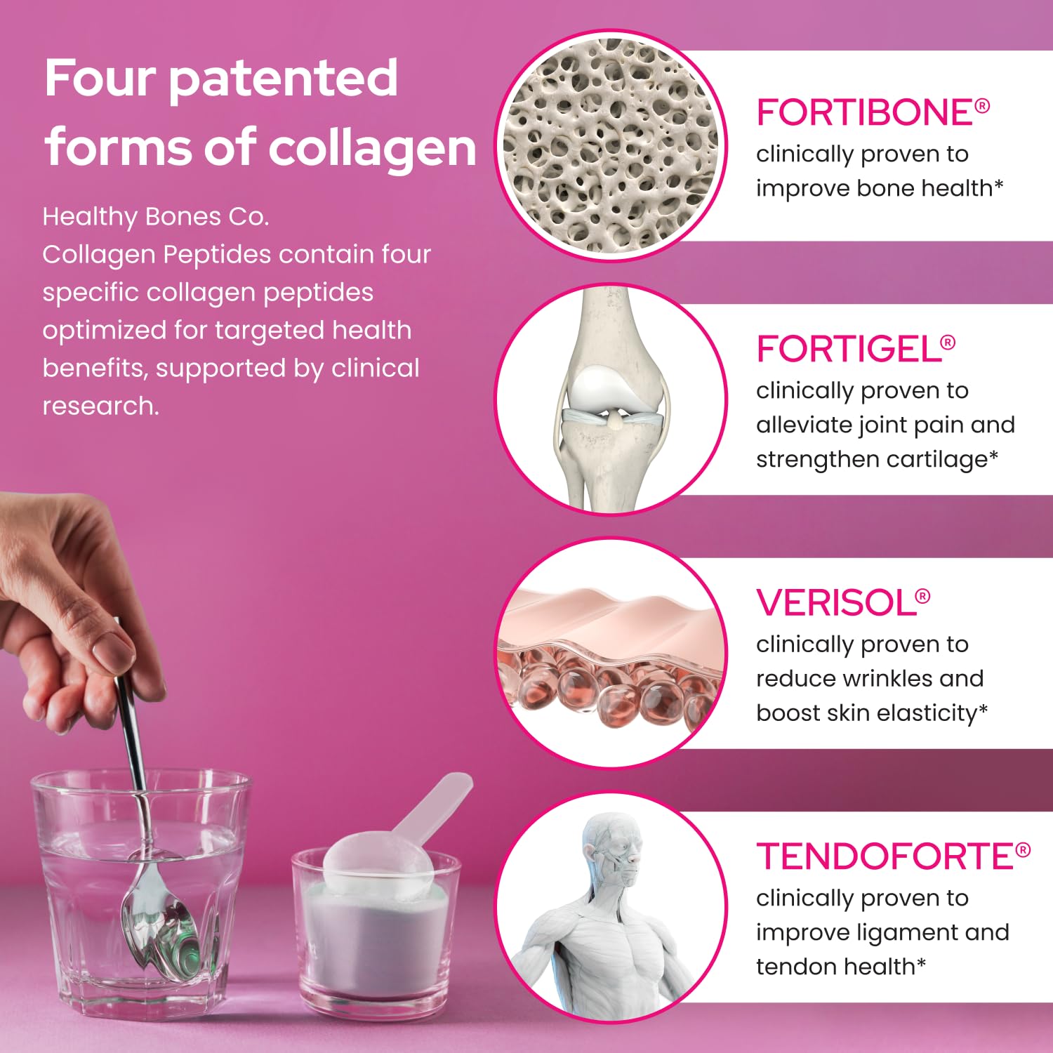 Healthy Bones Co. FORTIBONE Premium Bone Health Collagen Peptides