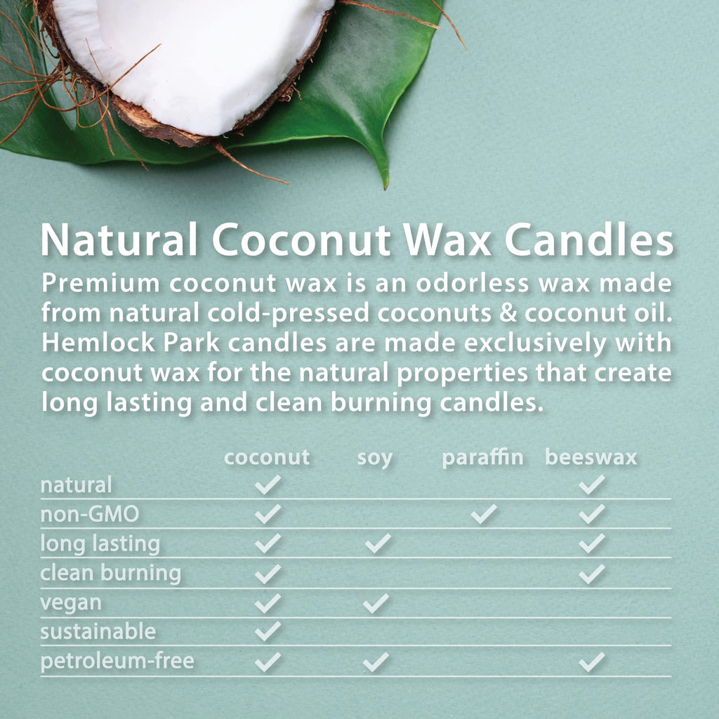 Hemlock Park Crackling Wood Wick Candle – 8 oz Bergamot Cedar