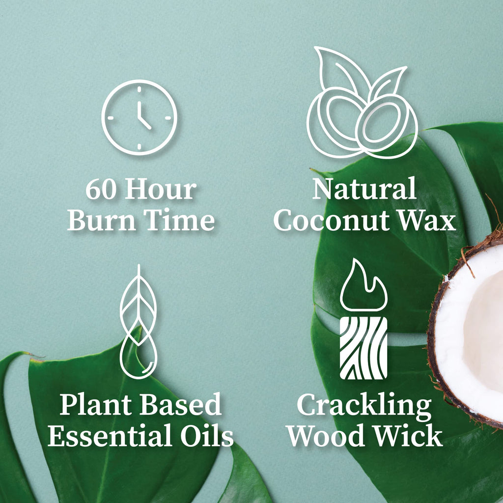 Hemlock Park Crackling Wood Wick Candle – Pumpkin Crème, 8 oz