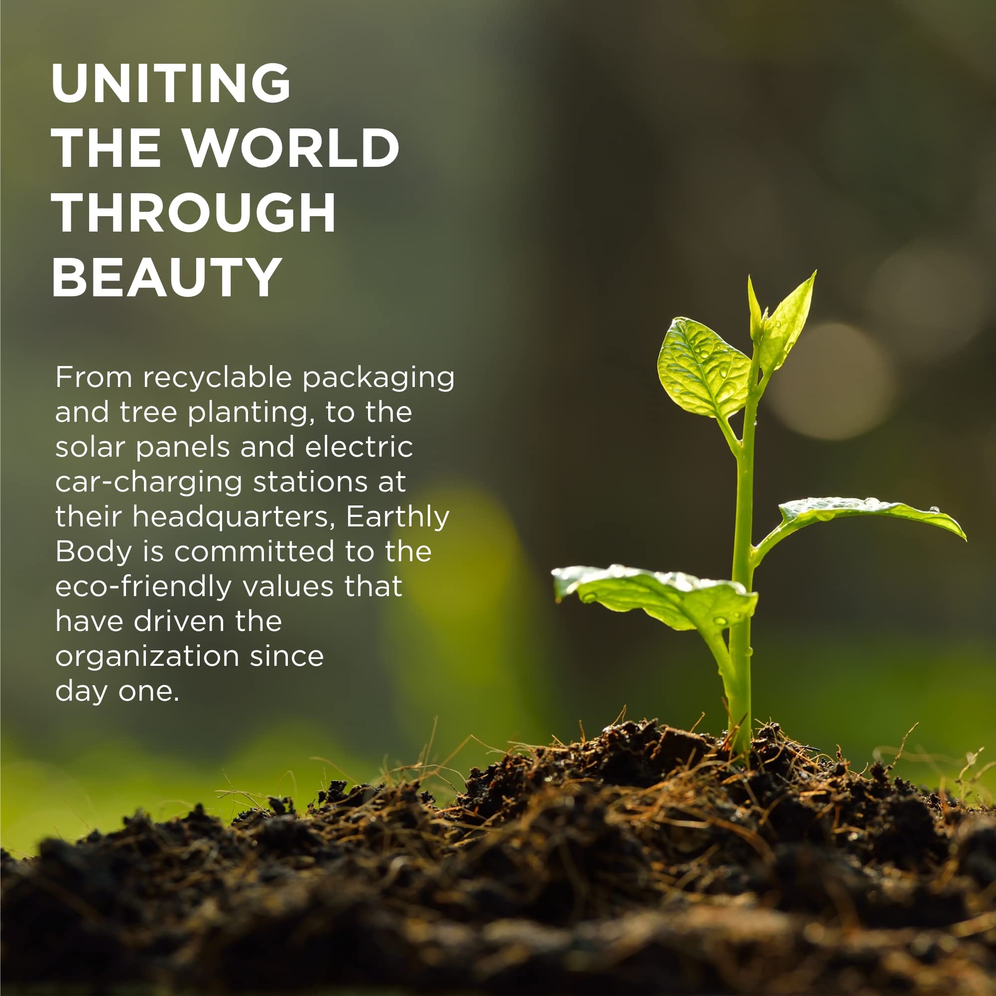 Hemp Seed Massage Lotion – Naked in The Woods (8 oz) – Vegan, Cruelty-Free