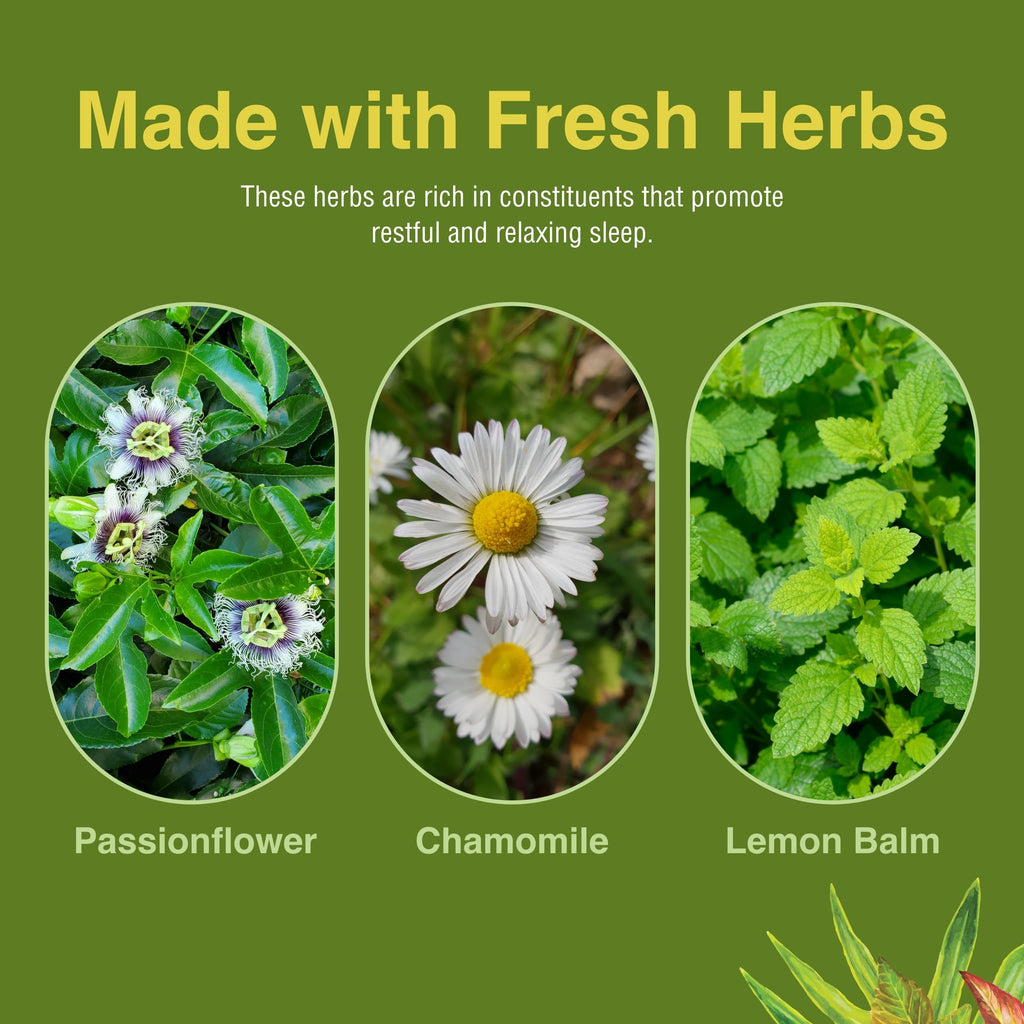 Herbs Etc. Deep Sleep - Natural Herbal Sleep Aid (Non-Habit Forming) 4 oz Liquid Extract - 2 Pack