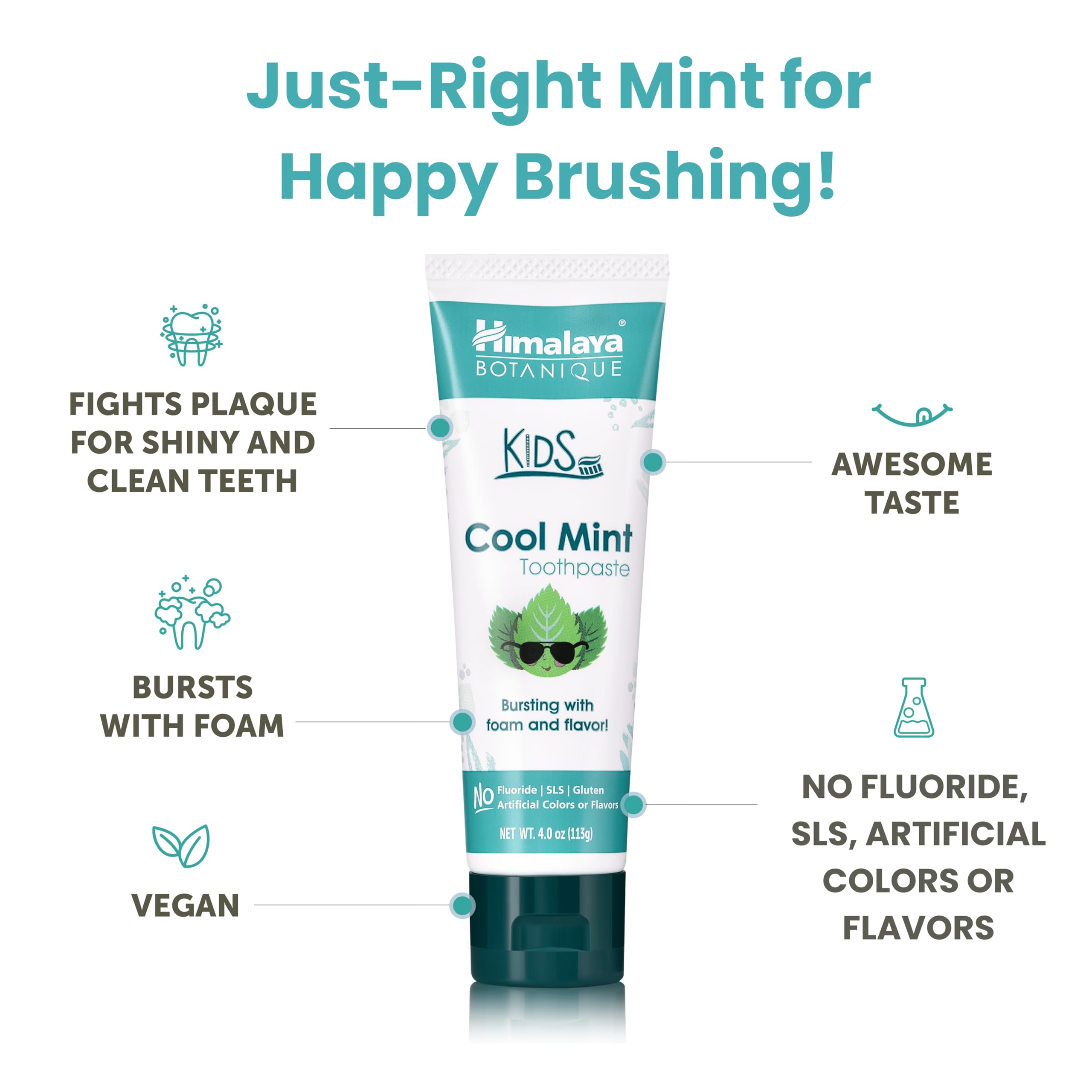 Himalaya Botanique Kids Toothpaste – Herbal Mint, Fluoride & SLS Free | 4 oz x 2