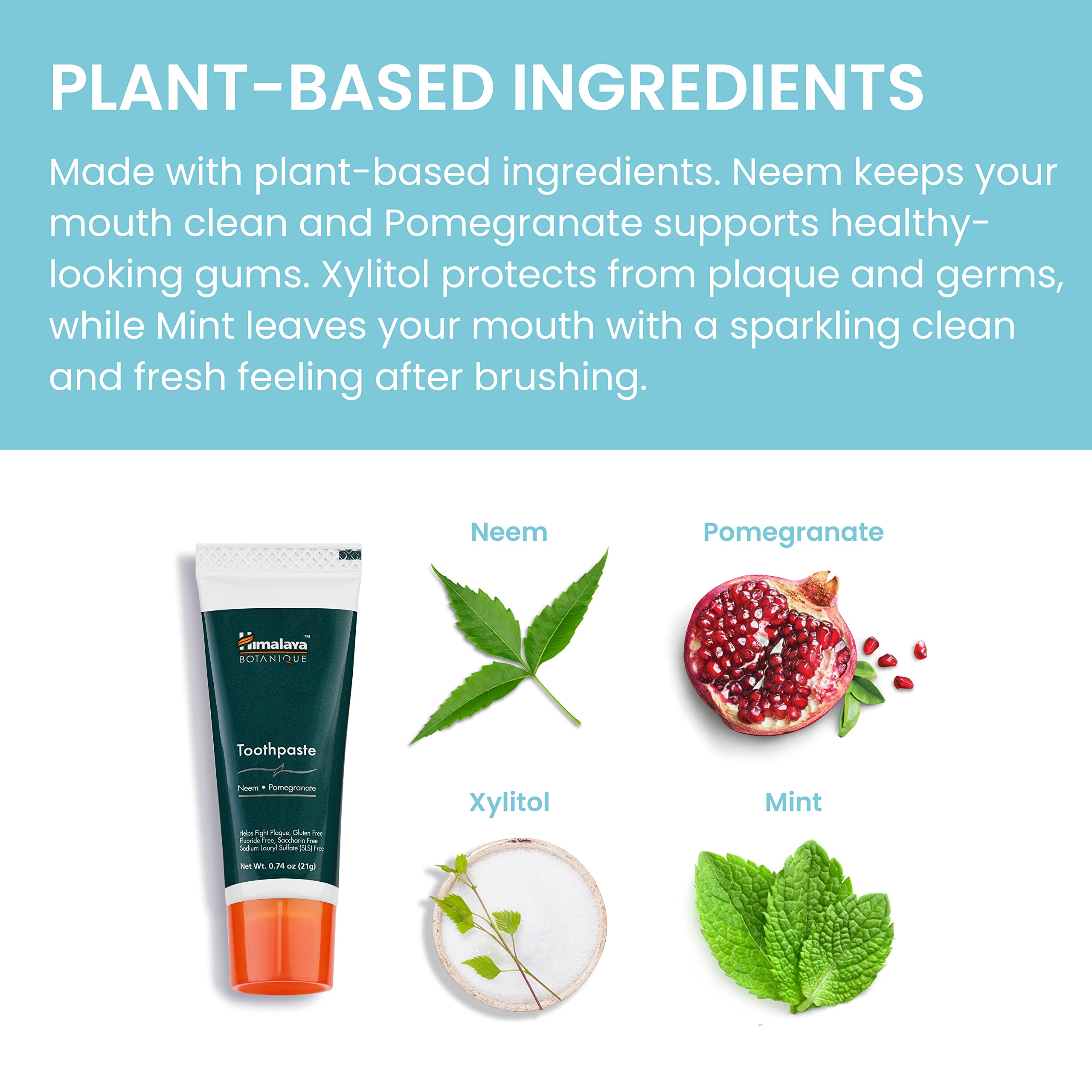 Himalaya Botanique Neem & Pomegranate Travel Toothpaste – Fluoride Free, SLS Free, Vegan, Gluten Free, Mint – 0.74 oz Travel Size (Pack of 20)