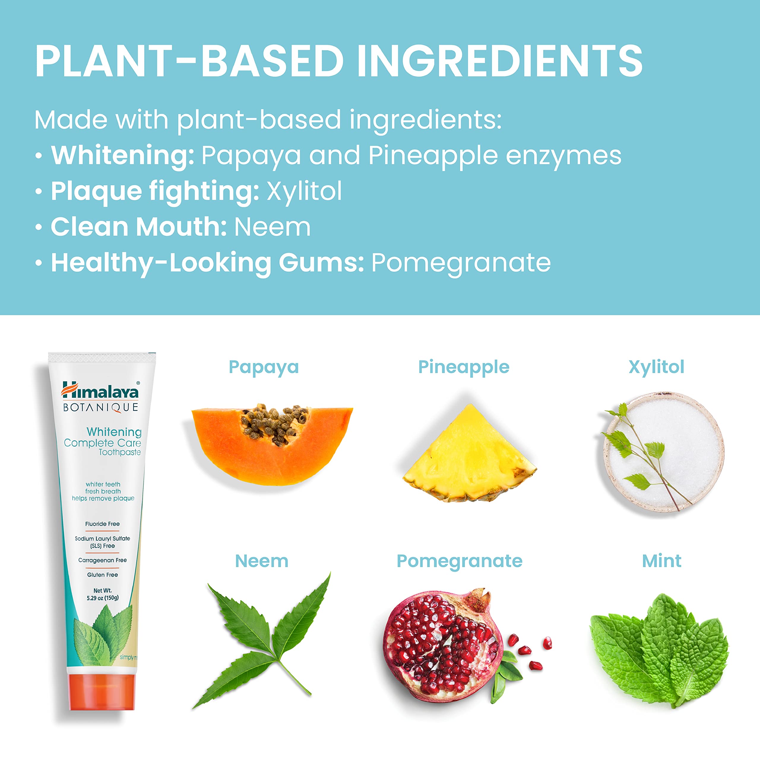 Himalaya Botanique Complete Care Whitening Toothpaste – Simply Mint, 5.29 oz