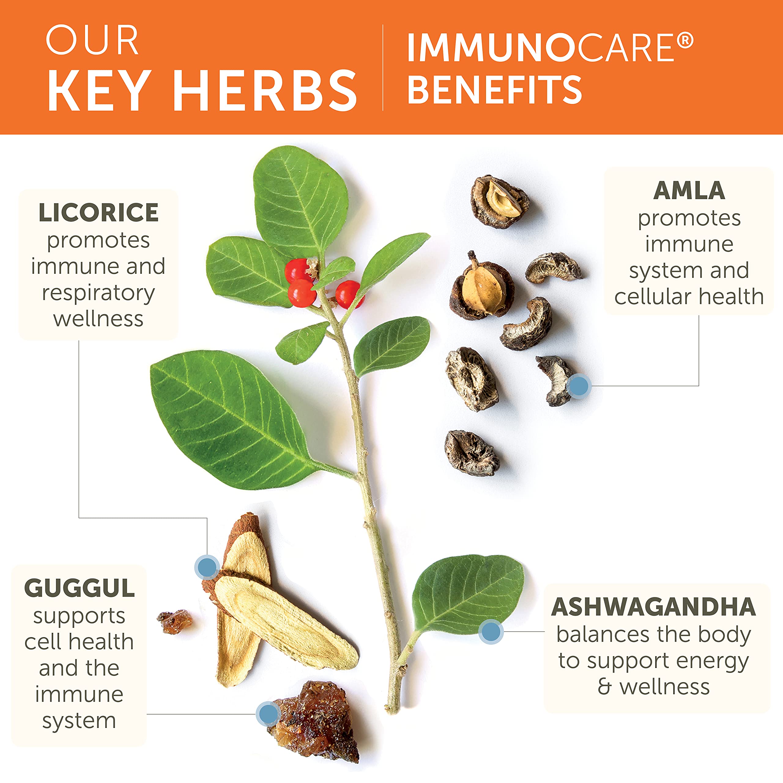 Himalaya ImmunoCare - Herbal Immune Support (Ashwagandha & Amla)