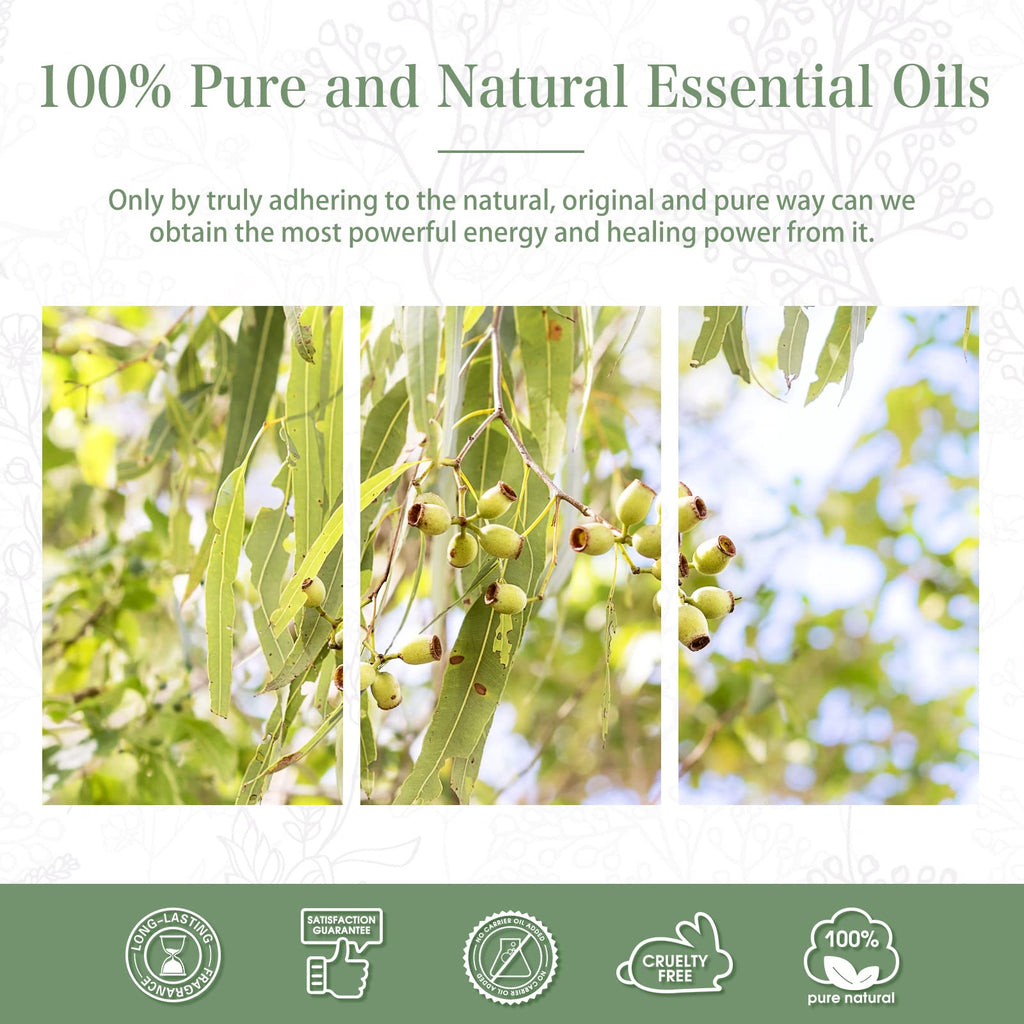 Lemon Eucalyptus Essential Oil 30ml | PHATOIL Aromatherapy for Diffusers