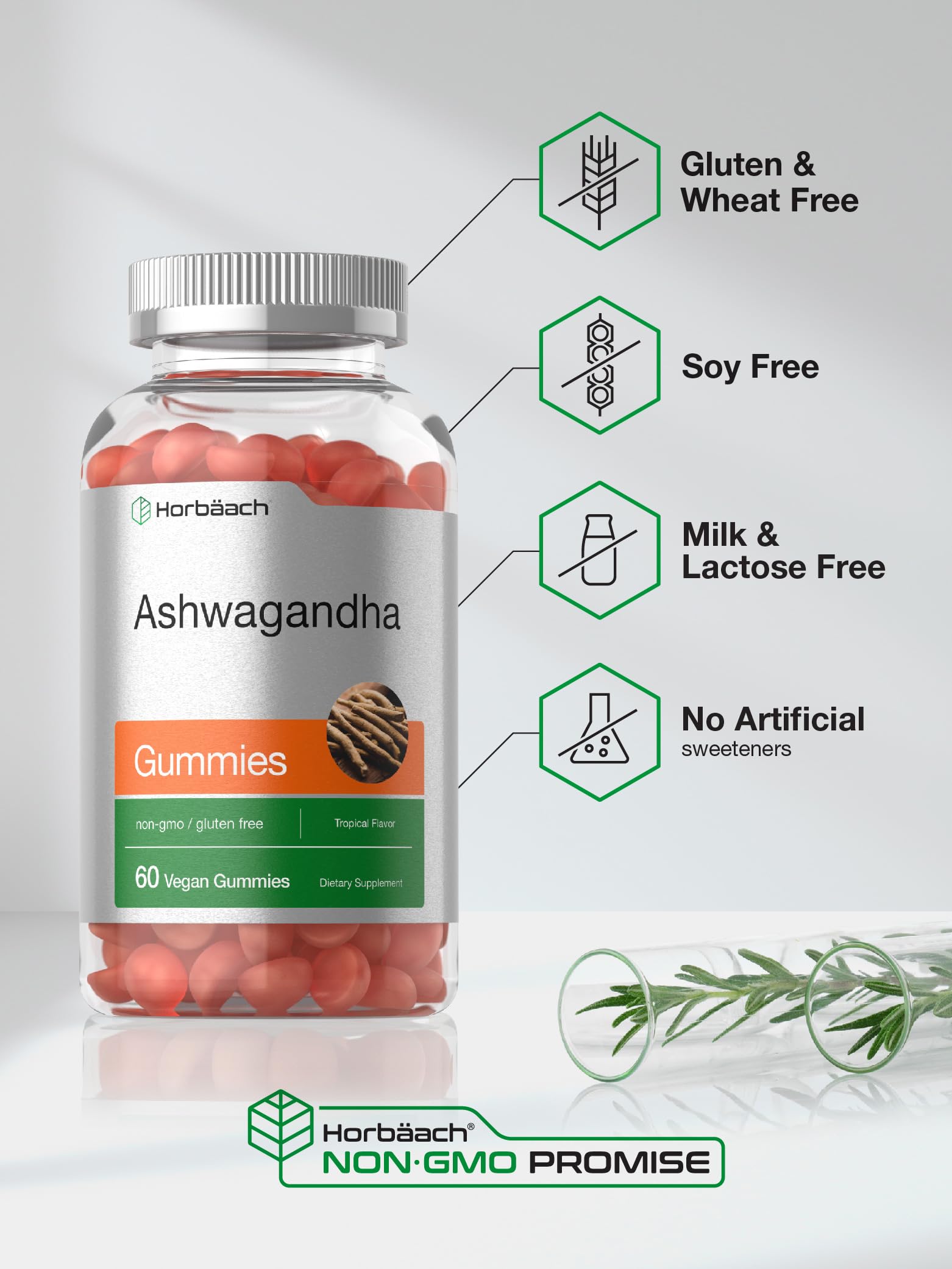 Horbäach Ashwagandha Gummies for Women and Men | 60 Count | Vegan, Non-GMO, Gluten Free Supplement | Tropical Flavor