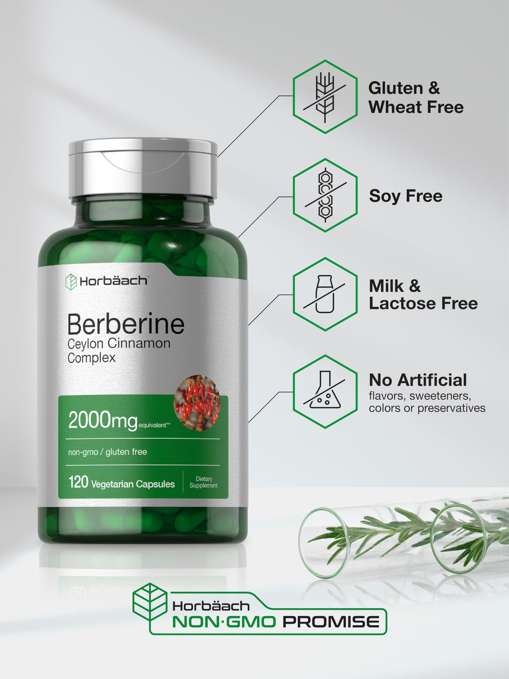 Horbäach Berberine with Ceylon Cinnamon – 2000mg, 120 Veggie Capsules (Pack of 2) | Vegetarian, Non-GMO & Gluten Free
