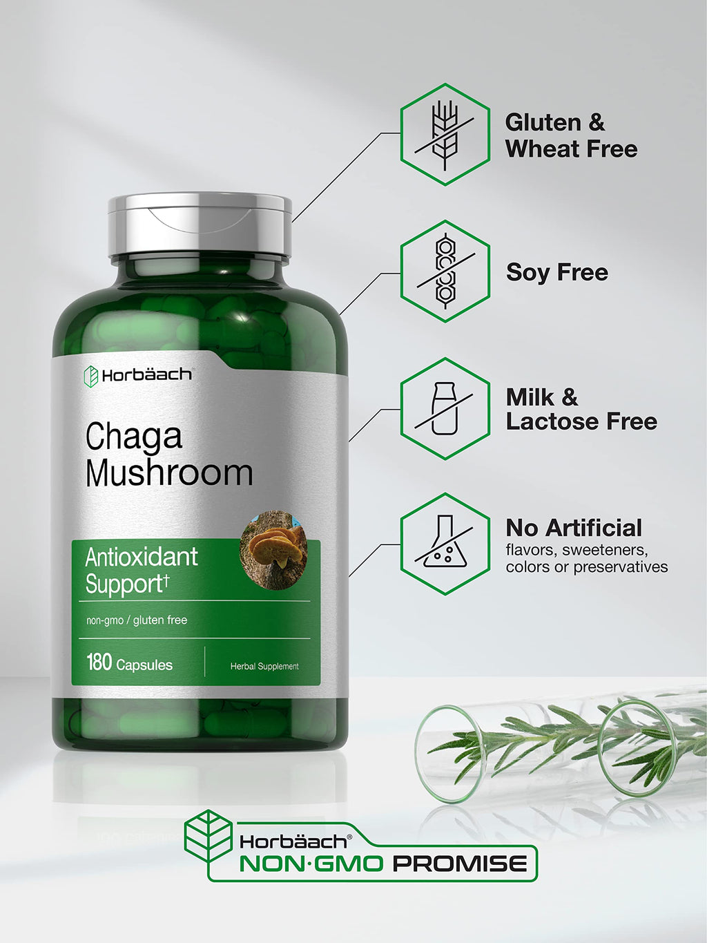 Horbäach Chaga Mushroom Capsules – 180 Count – Non-GMO & Gluten Free