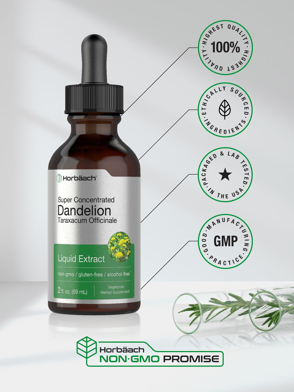 Horbäach Dandelion Root Extract Supplement - 2 fl oz | Alcohol-Free Liquid Tincture | Super Concentrated | Non-GMO & Gluten Free