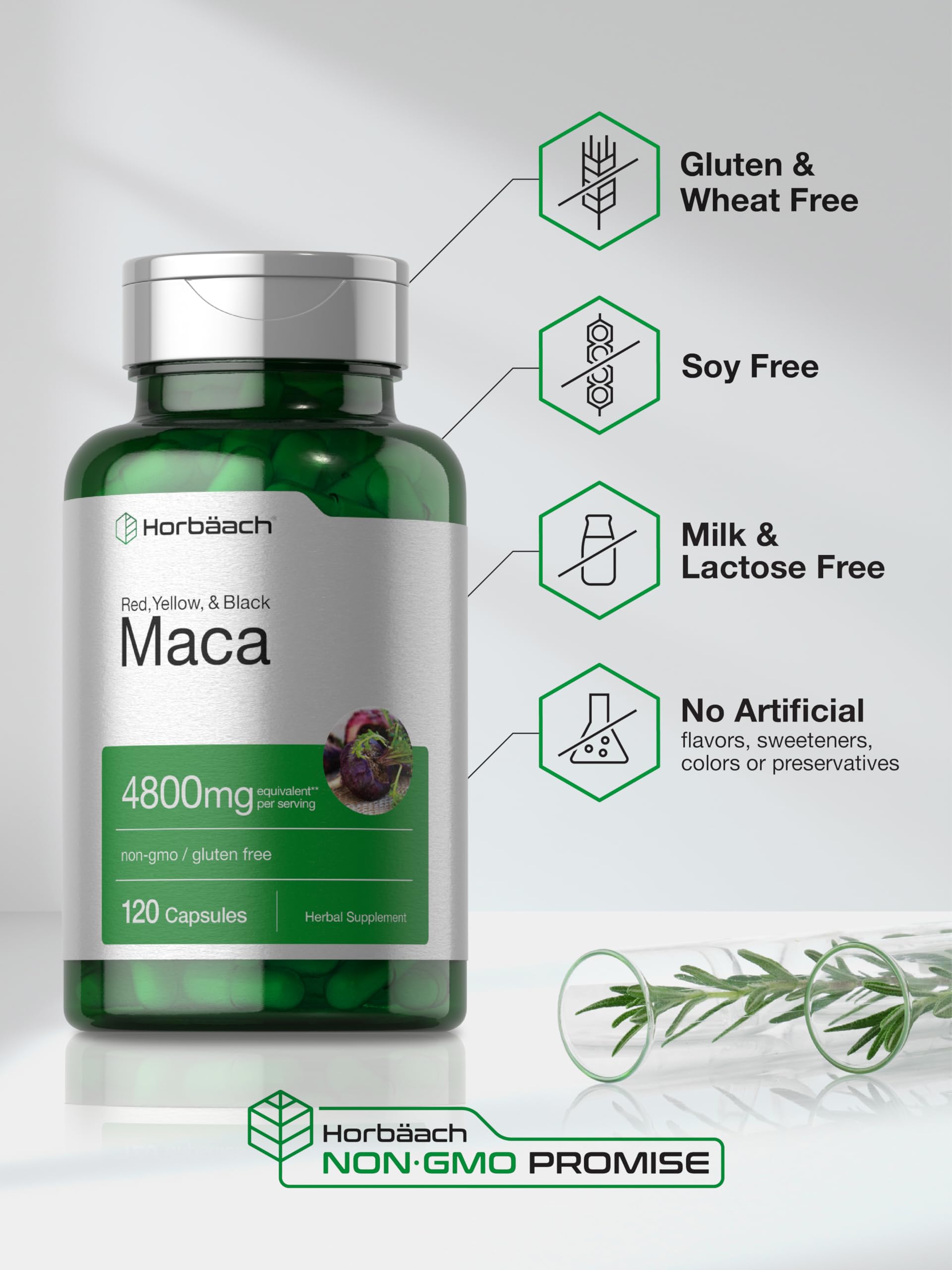 Horbäach Maca Root Capsules for Men and Women | 120 Pills | High Potency Extract | Non-GMO & Gluten Free