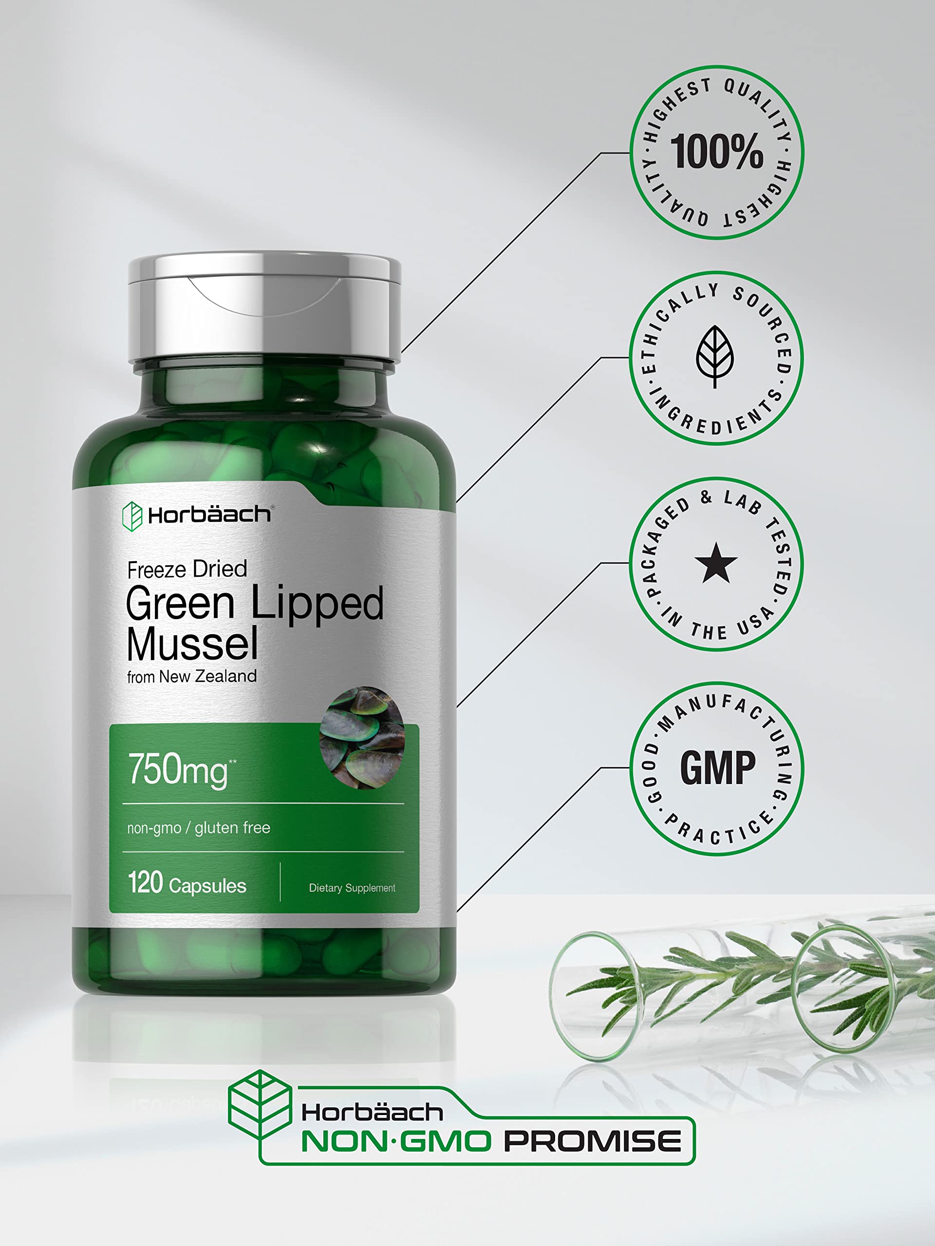 Horbäach Green Lipped Mussel 750 mg – 120 Capsules | NZ Freeze-Dried Mussel Powder | Non-GMO & Gluten Free