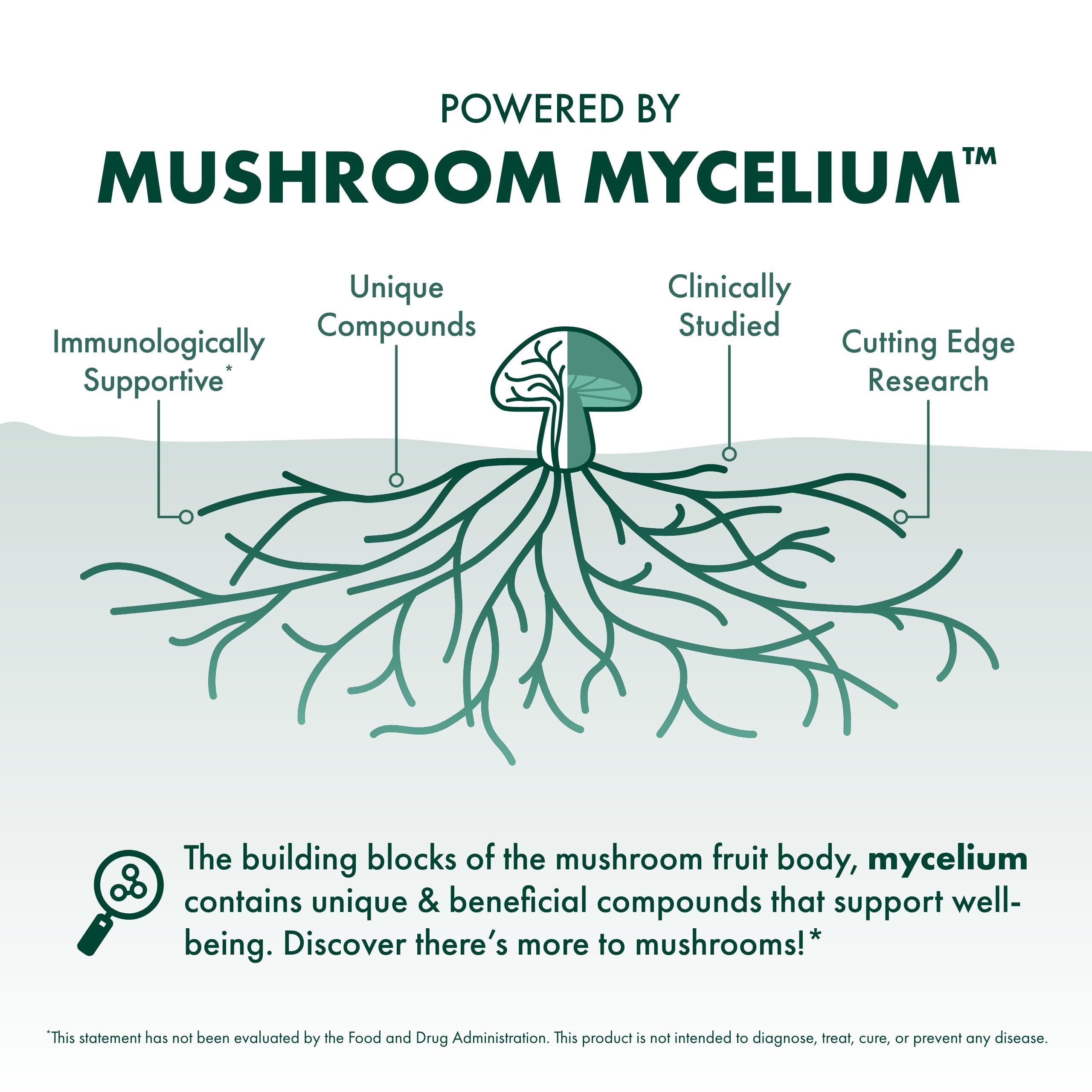 Host Defense Chaga Extract - Immune Support Supplement | 2 fl oz