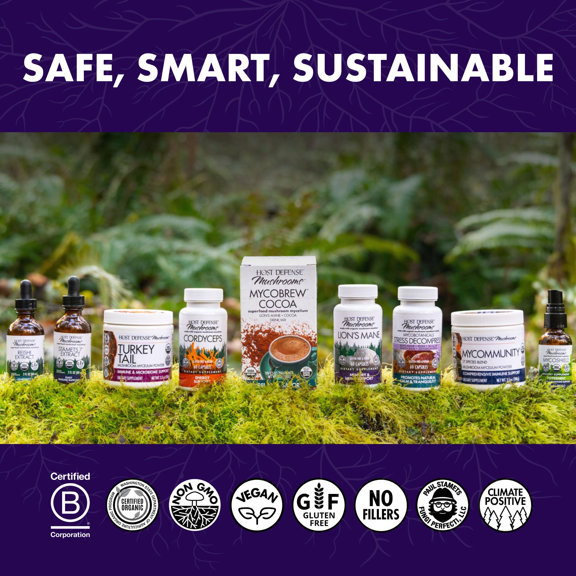 Host Defense MycoShield Throat Spray - Immune Health Support - Mushroom Supplement with Chaga, Reishi, Turkey Tail - Cinnamon Flavor - 1 fl oz (71 Servings)