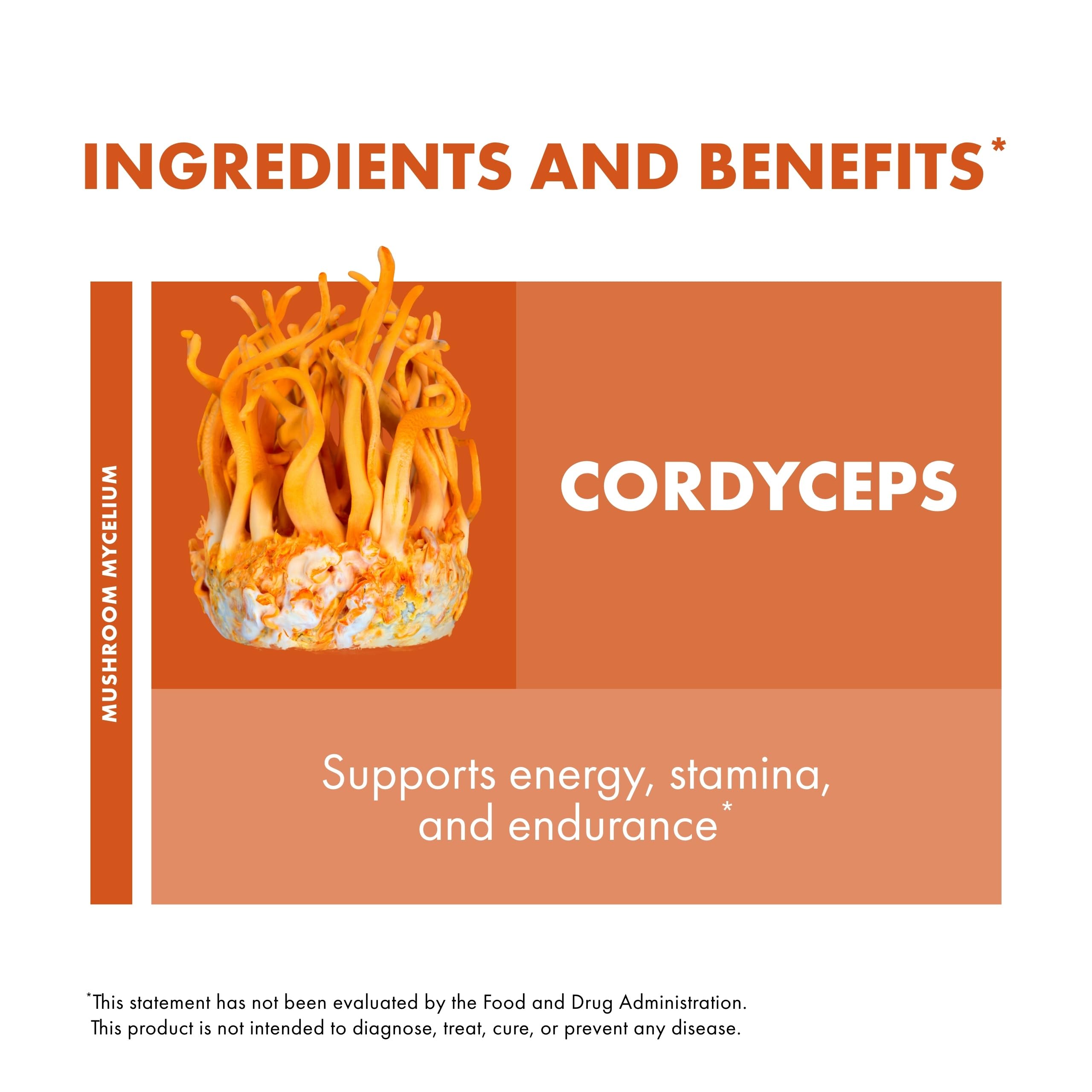 Host Defense Cordyceps Capsules – Immune & Energy Support (60 Caps)