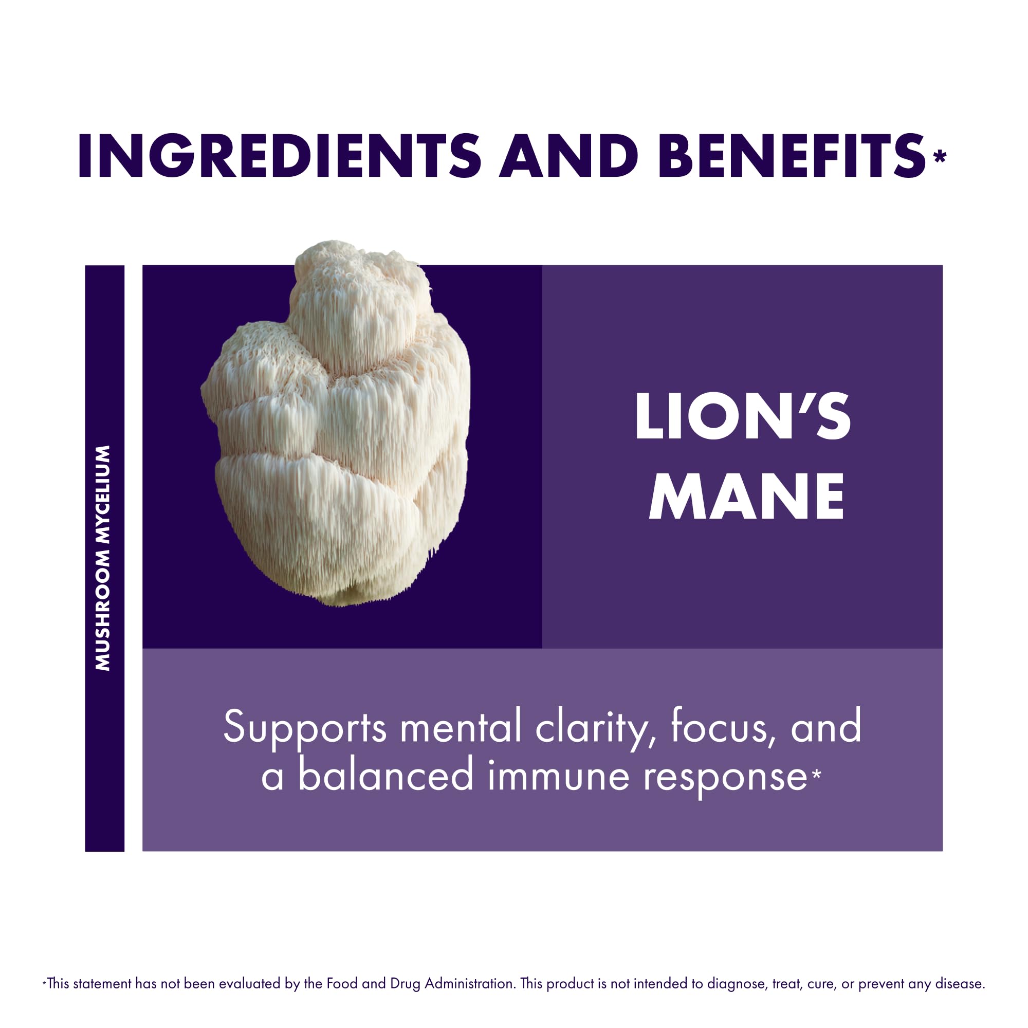 Host Defense Lion's Mane Capsules, 240 ct (2 x 120 ct)
