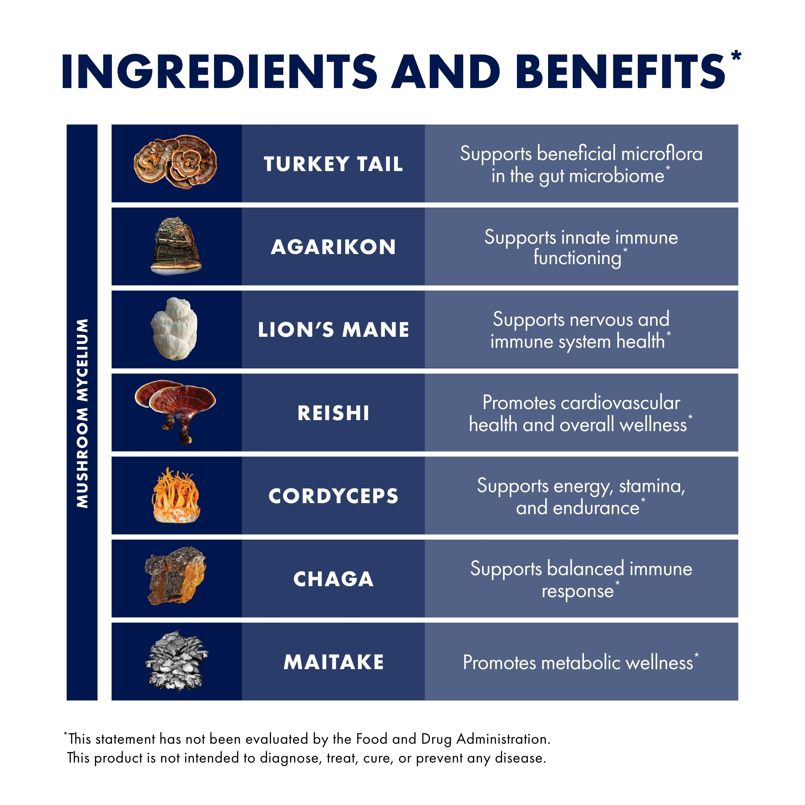 Host Defense MyCommunity Capsules – 17-Species Mushroom Blend for Immune Support (120 Vegan Capsules)