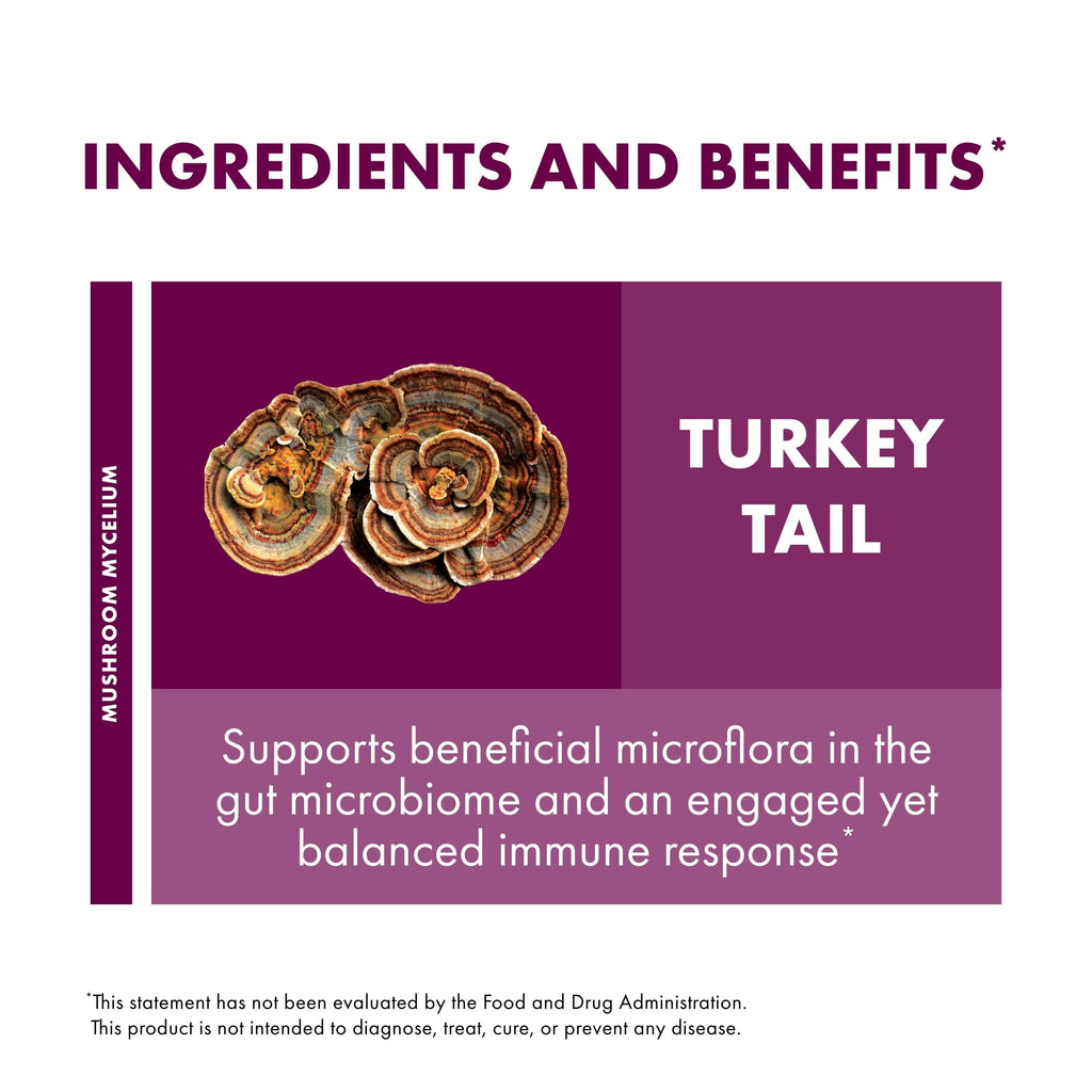 Host Defense Turkey Tail Extract – Digestive Health and Immune Support