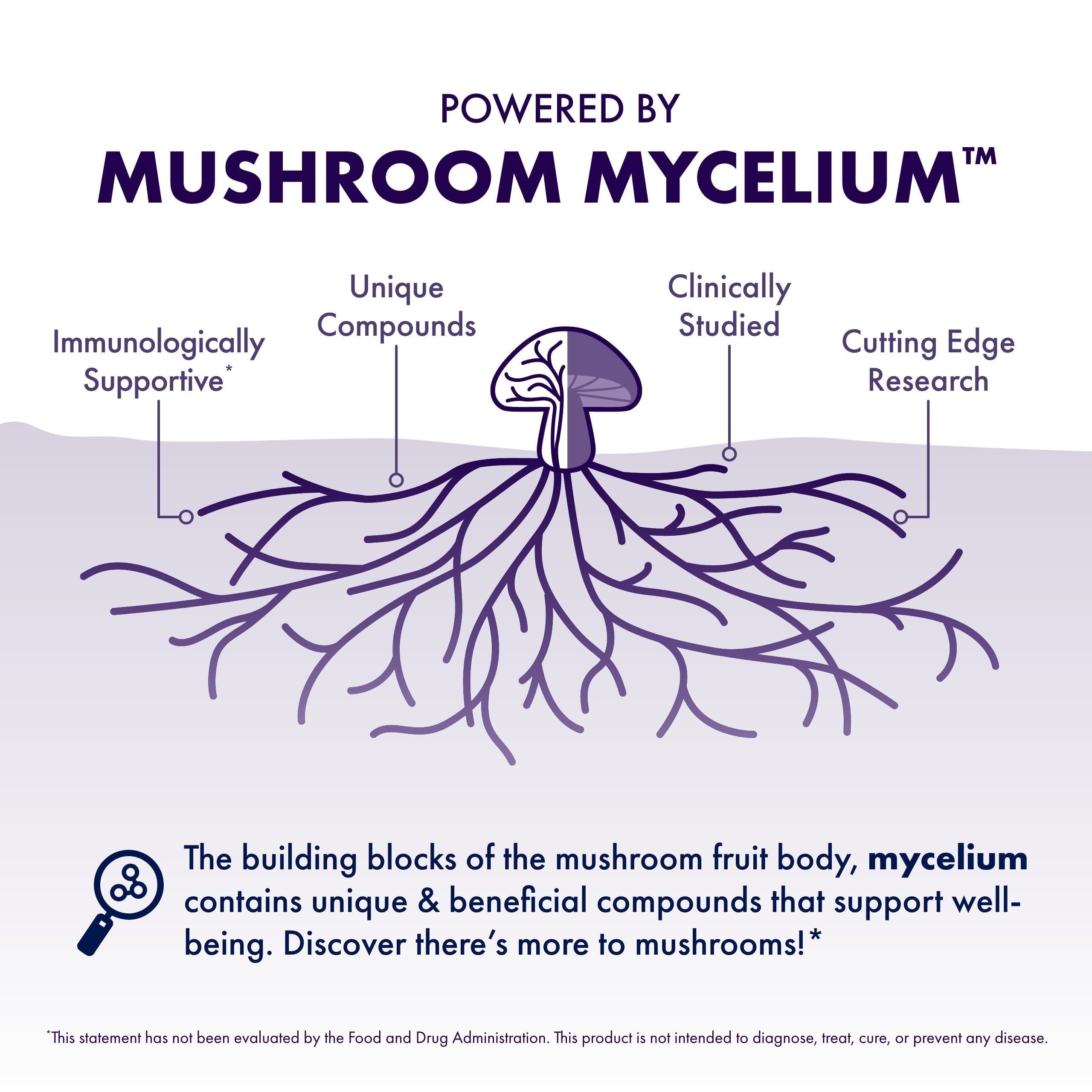 Host Defense Mushrooms Lion's Mane Extract – Brain Health & Focus Support (2 fl oz)