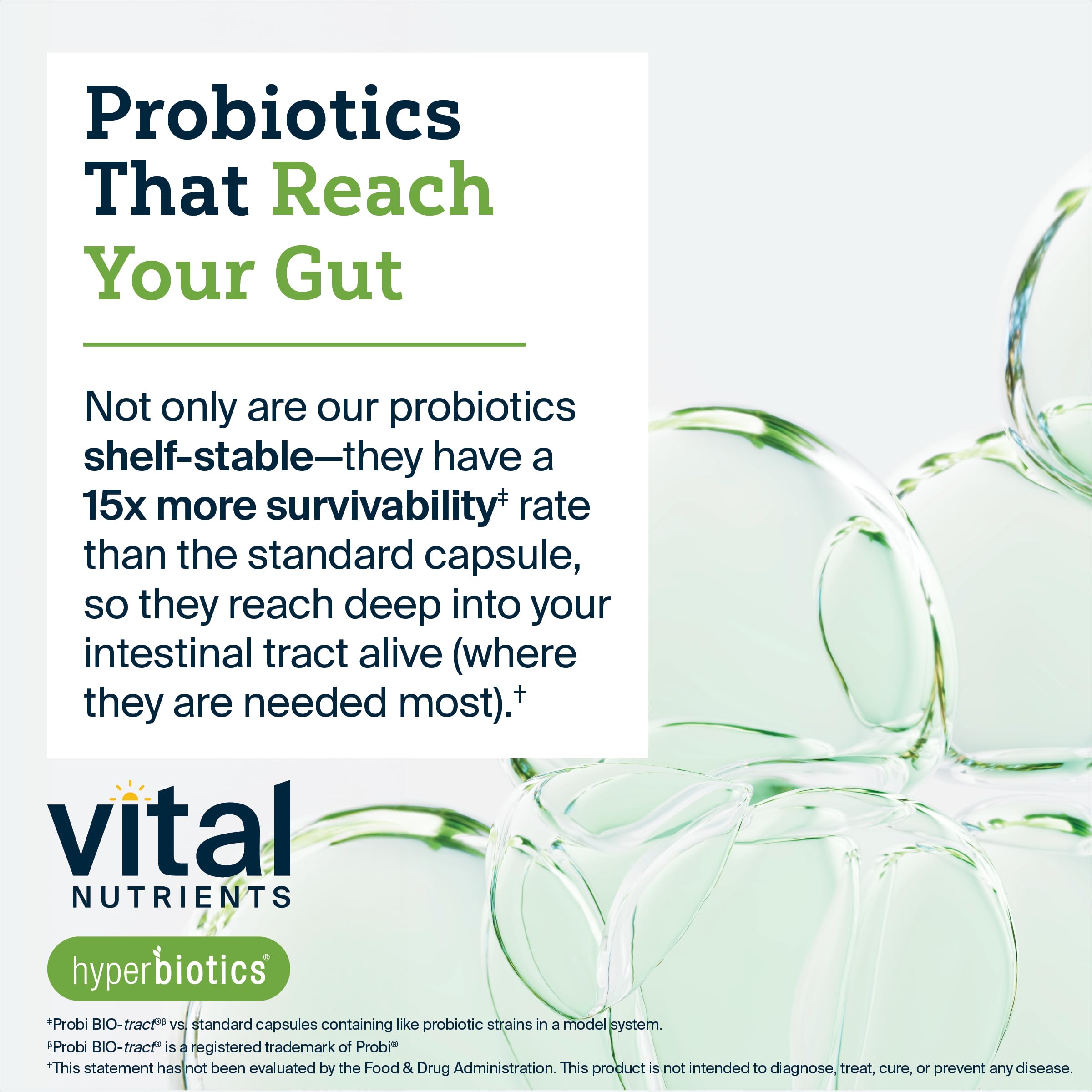 Hyperbiotics Vital Nutrients Bifidobacterium Probiotic | 7 Targeted Strains | Supports Immune and Digestive Health for Older Adults | Shelf-Stable | Vegan | 60 Tablets
