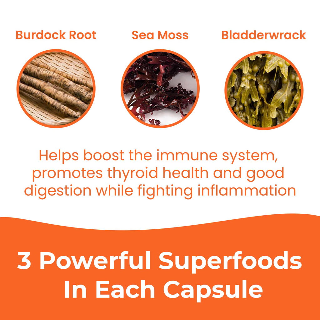 INFINITE AGE 2 Pack Sea Moss Capsules 1250mg – Vegan, Made in USA, Irish Sea Moss + Bladderwrack