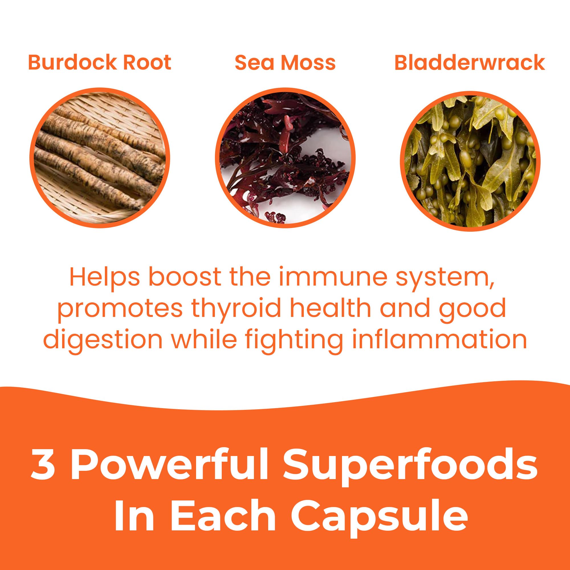 INFINITE AGE 2 Pack Sea Moss Capsules 1250mg – Vegan, Made in USA, Irish Sea Moss + Bladderwrack