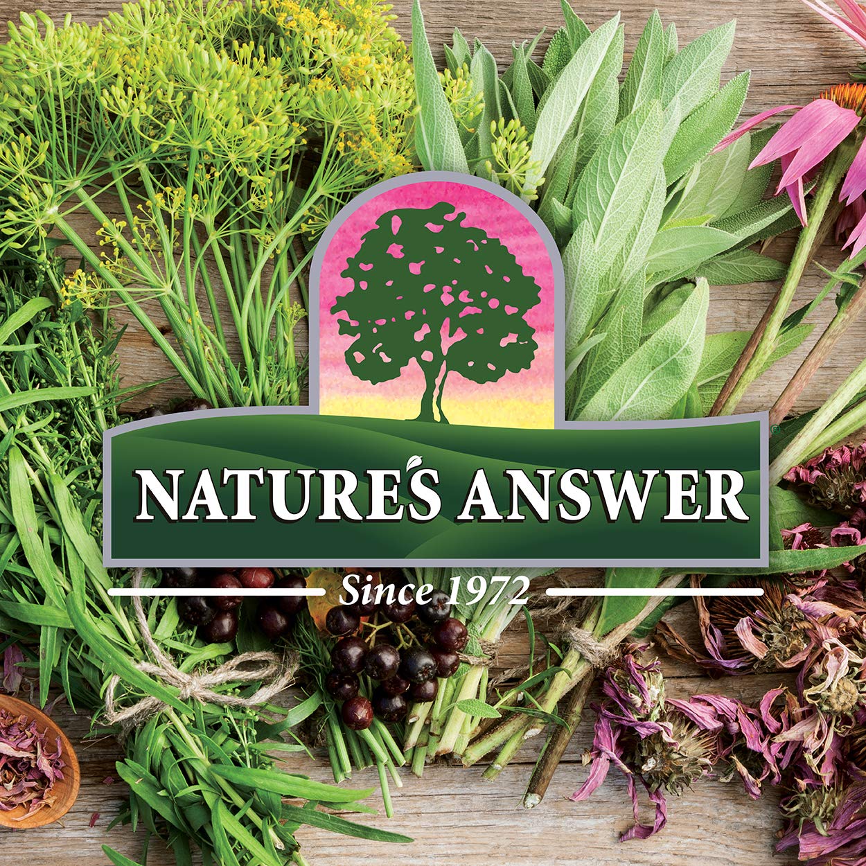 Nature's Answer Evening Primrose Oil 4oz - Cold-Pressed, All-Natural Moisturizer for Hair, Skin & Nails | Rosacea & Eczema Relief