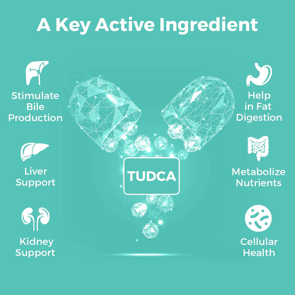 Kayseari TUDCA Bile Salts Supplement 1000mg – 120 Veggie Capsules | Liver Support