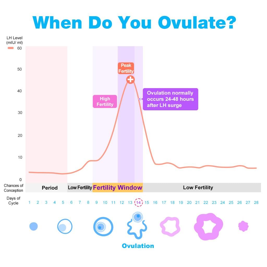 Easy@Home Ovulation & Pregnancy Test Strips Kit: 25 Ovulation Strips and 10 Pregnancy Tests – Accurate Fertility Tracker OPK | 25LH + 10HCG