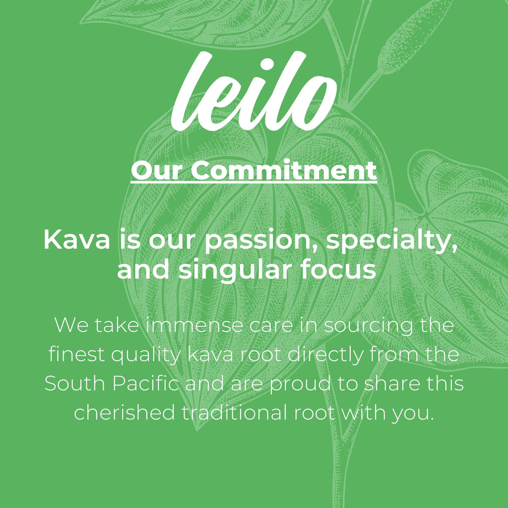 LEILO Kava-Powered Sparkling Relaxation Drink - Variety Sampler 6-Pack | 12 oz Cans | Non-ALC