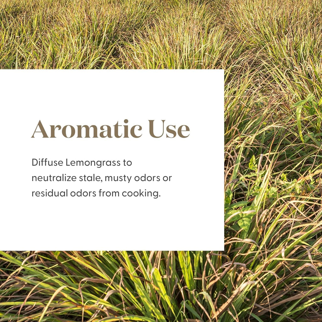 Lemongrass Essential Oil by Young Living – 15 mL | Topical & Aromatic