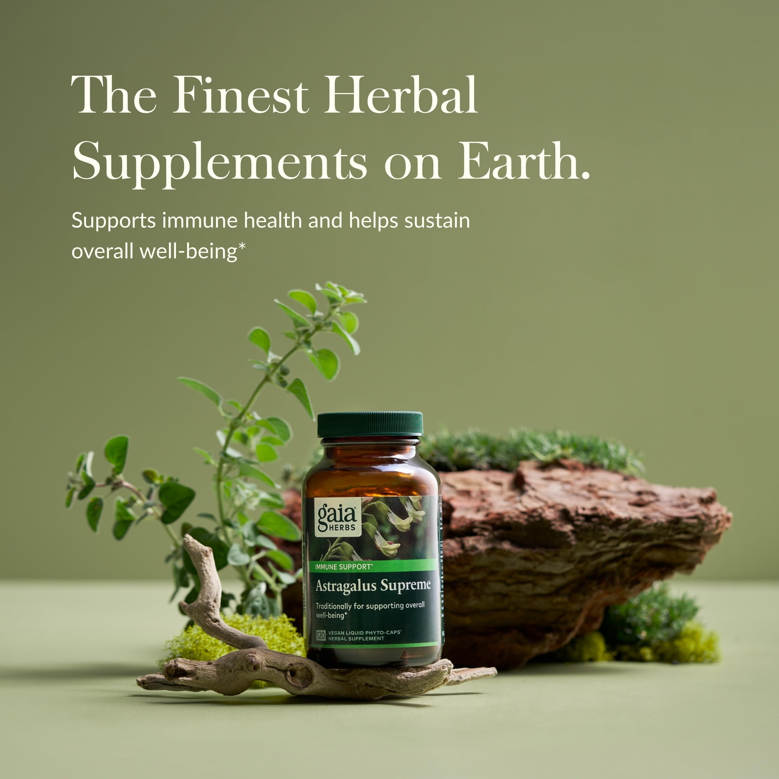 Gaia Herbs Astragalus Supreme – Immune & Antioxidant Support | 120 Vegan Liquid Phyto-Caps (60 Servings)