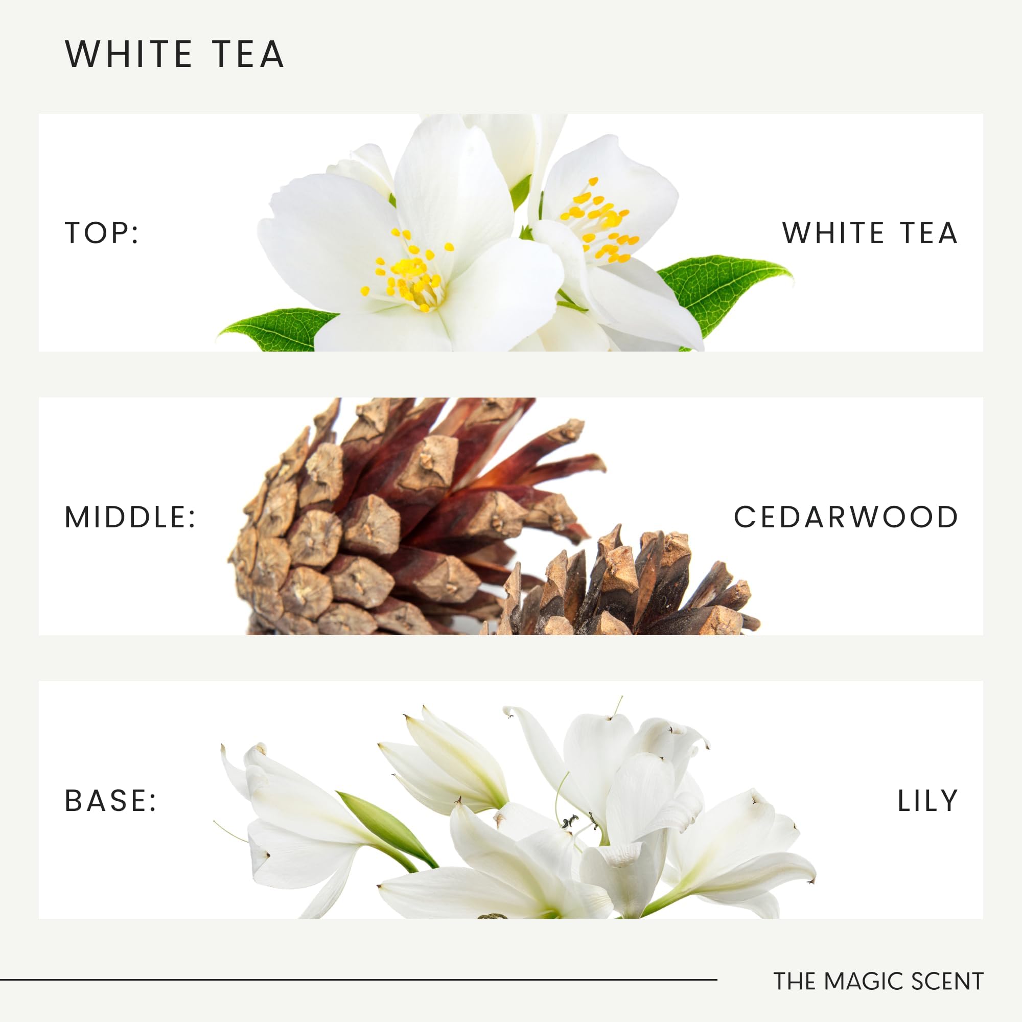 The Magic Scent White Tea Diffuser Oil - 4 fl oz | Luxury Hotel & Home Scents