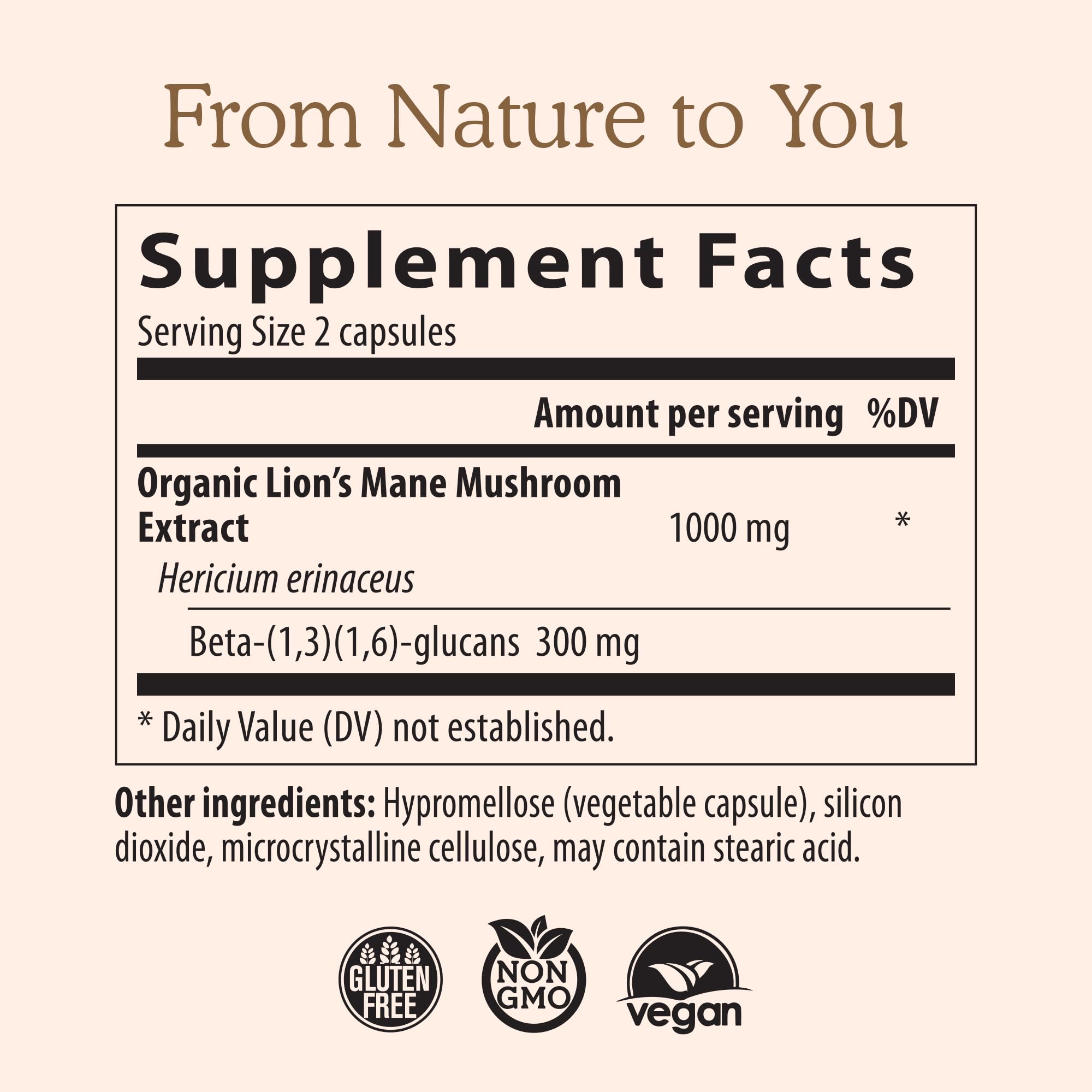 Lions Mane Mushroom Cognition (120 Capsules) Lions Mane Mushroom Powder Extract Capsules | Brain Supplement, Brain Vitamins, Focus Supplement