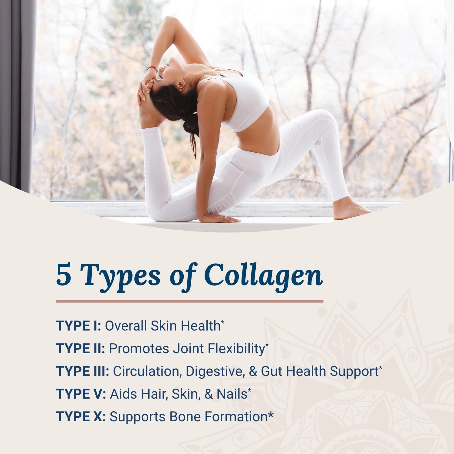 Live Conscious Beyond Collagen Multi Collagen Powder – Types I, II, III, V & X | Keto Friendly 2-Pack
