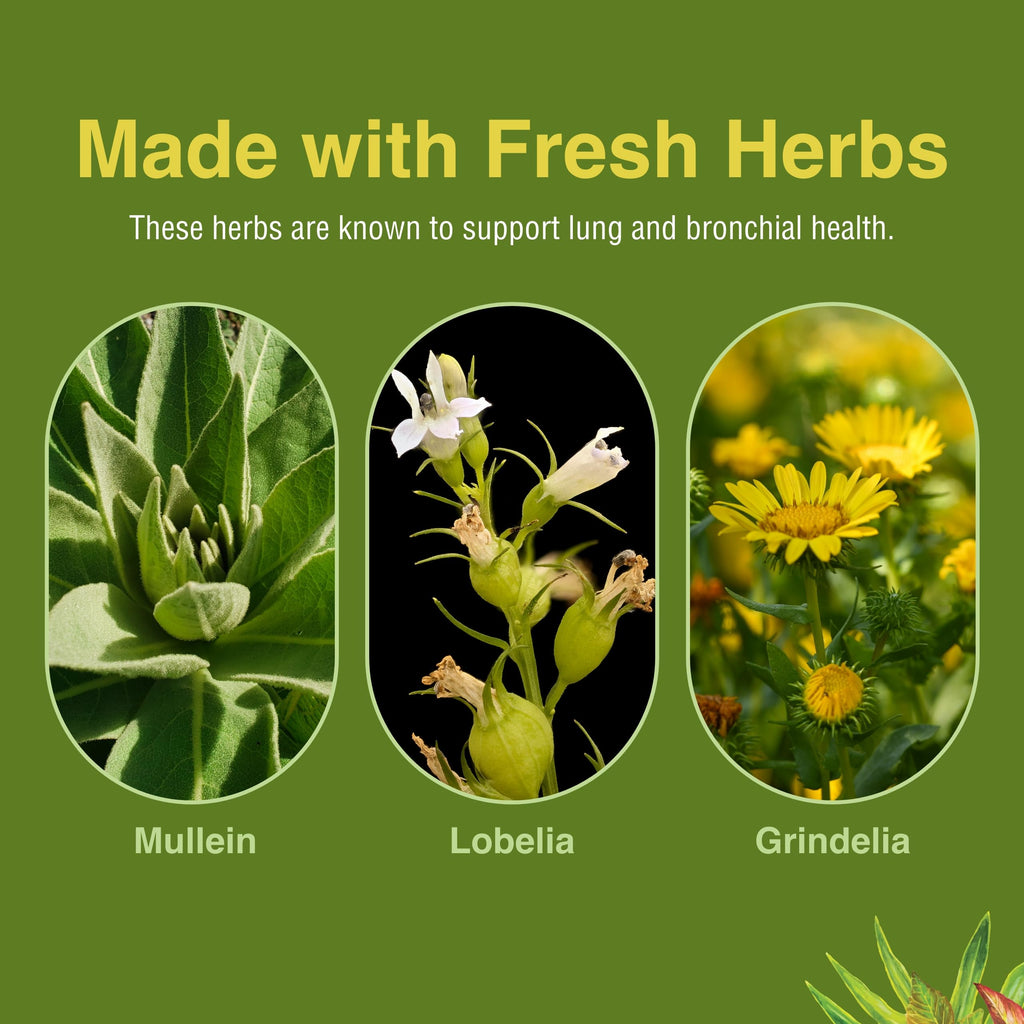 Herbs Etc. Lung Tonic - Bronchial Support for Healthy Breathing | 120 Softgels